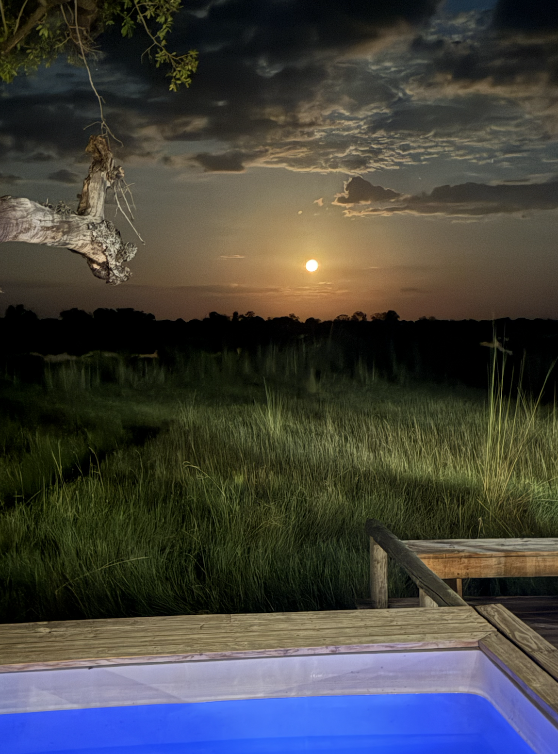 Screen Shot 2025-11-17 at 8.56.01 AM