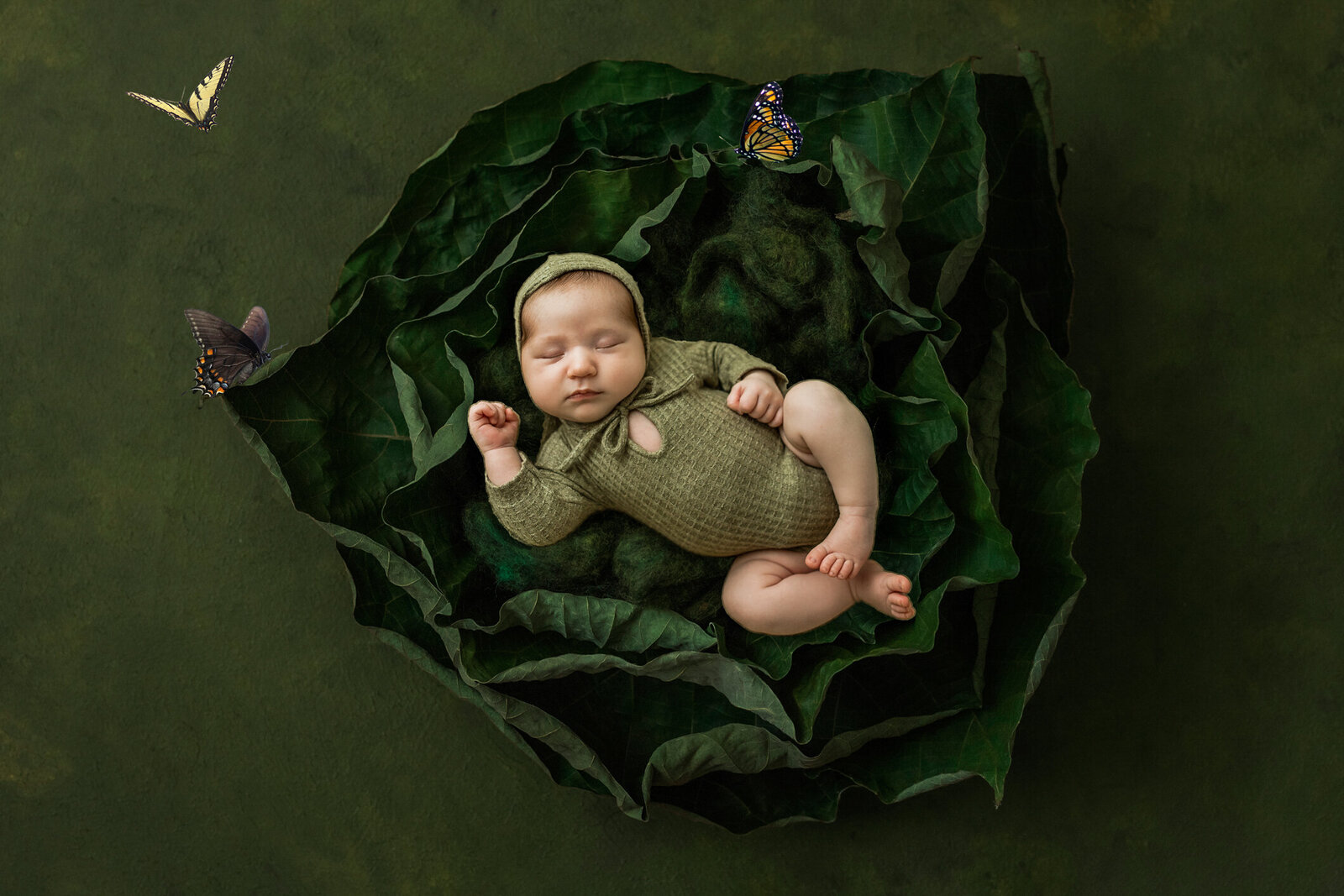 Leaf newborn-Edit