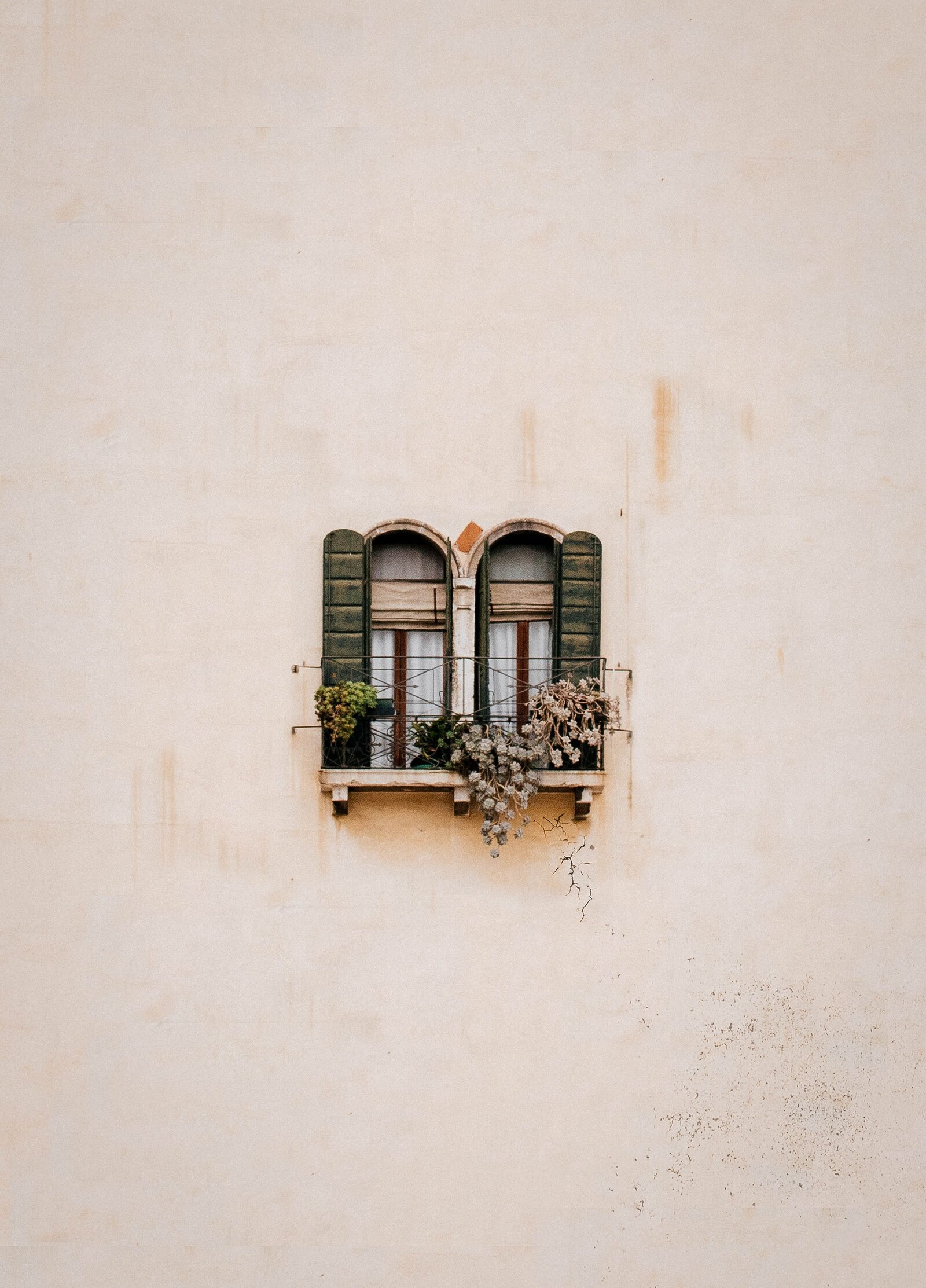 green-wooden-window-on-white-concrete-wall-3750893