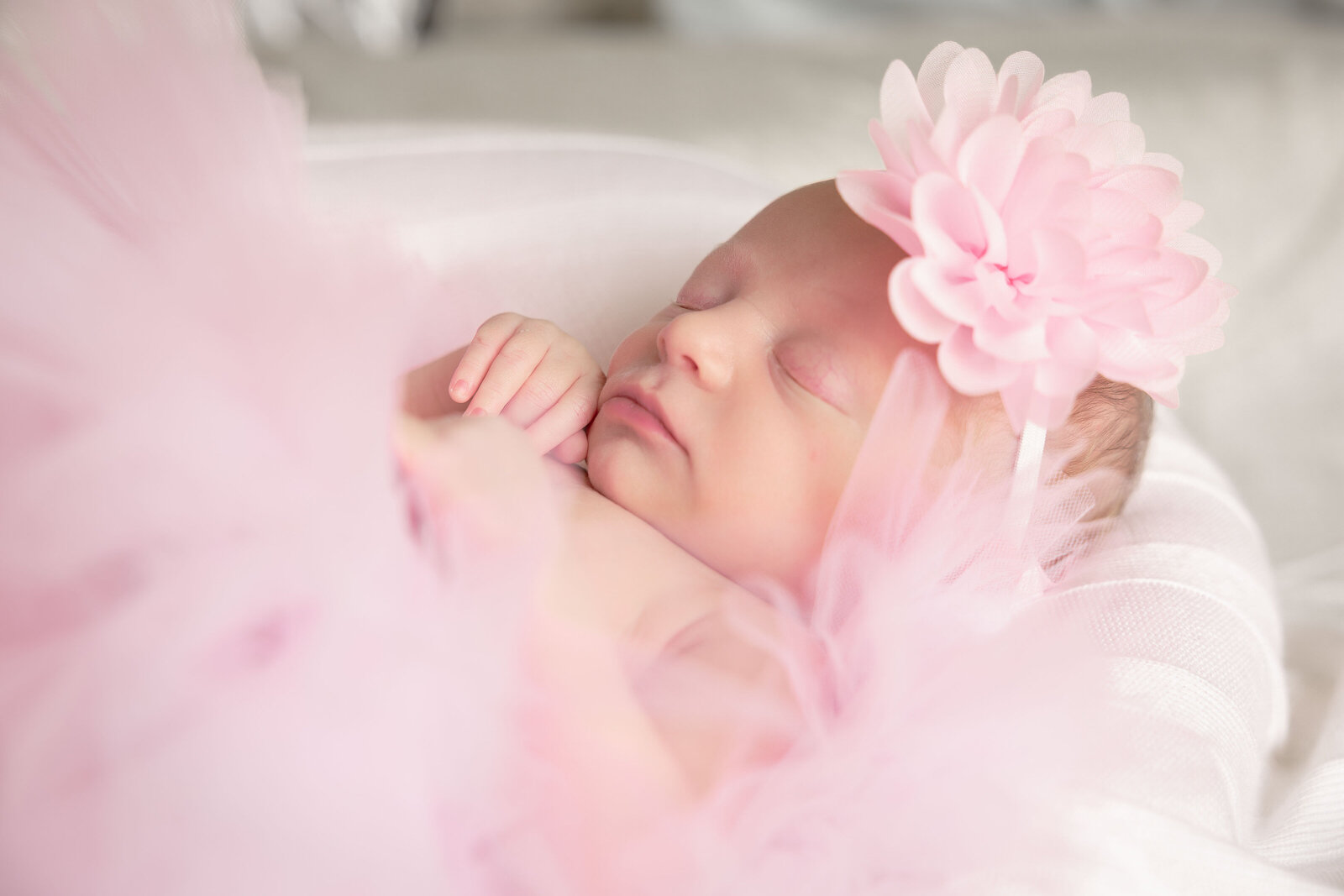 5W4A1363-Enhanced-NR