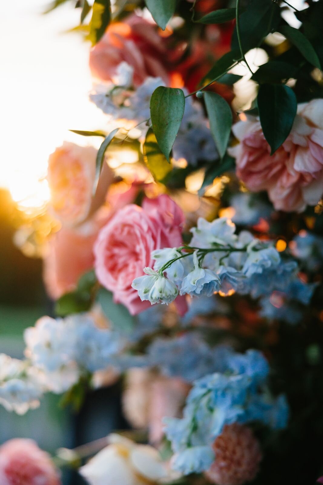 leila-james-events-newport-rhode-island-luxury-wedding-planner-castle-hill-inn-venue-erin-mcginn-wedding-photographer-bright-florals-CH0500 copy