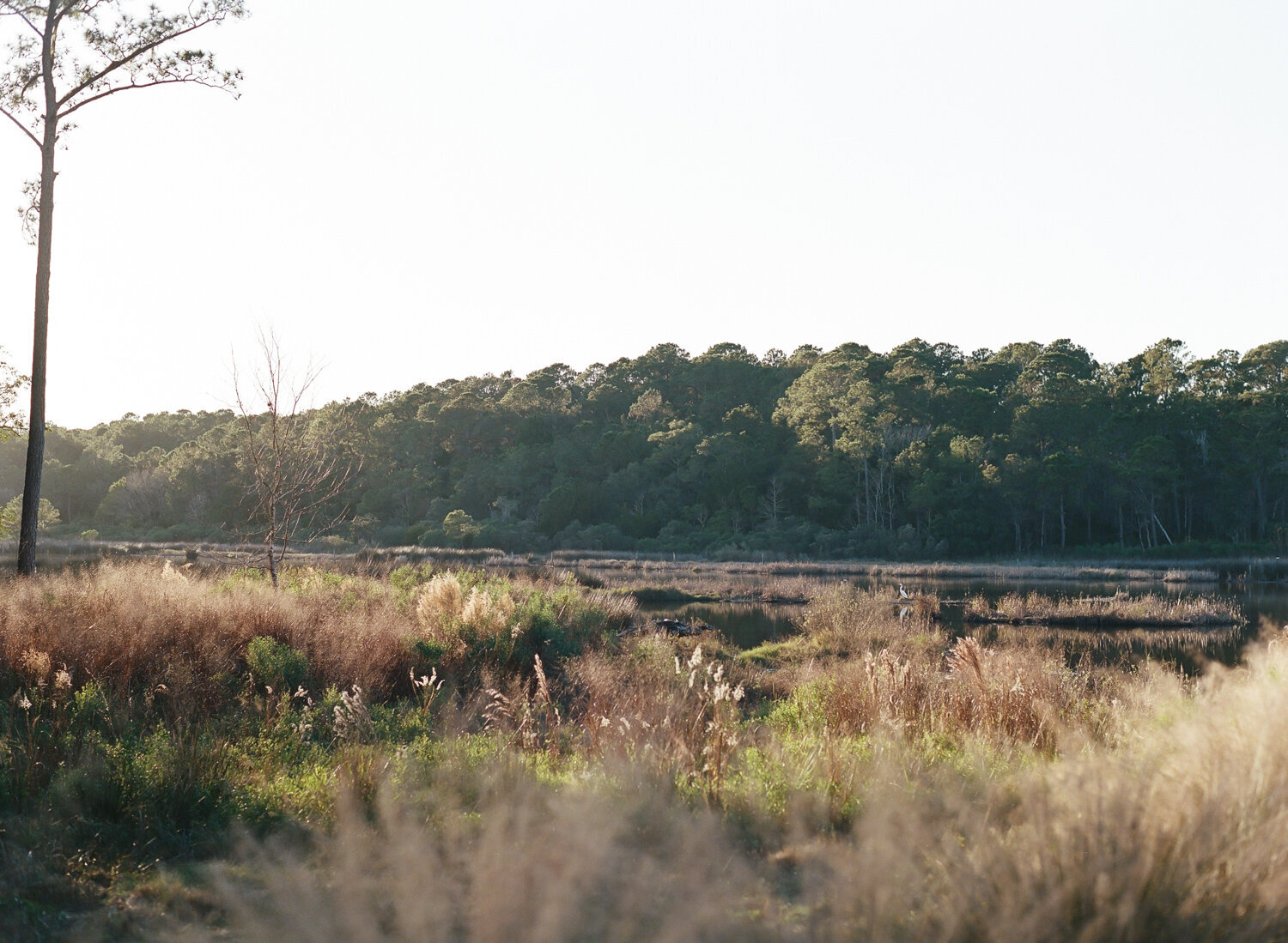 Kiawah-Island-Engagement-Photographer-90