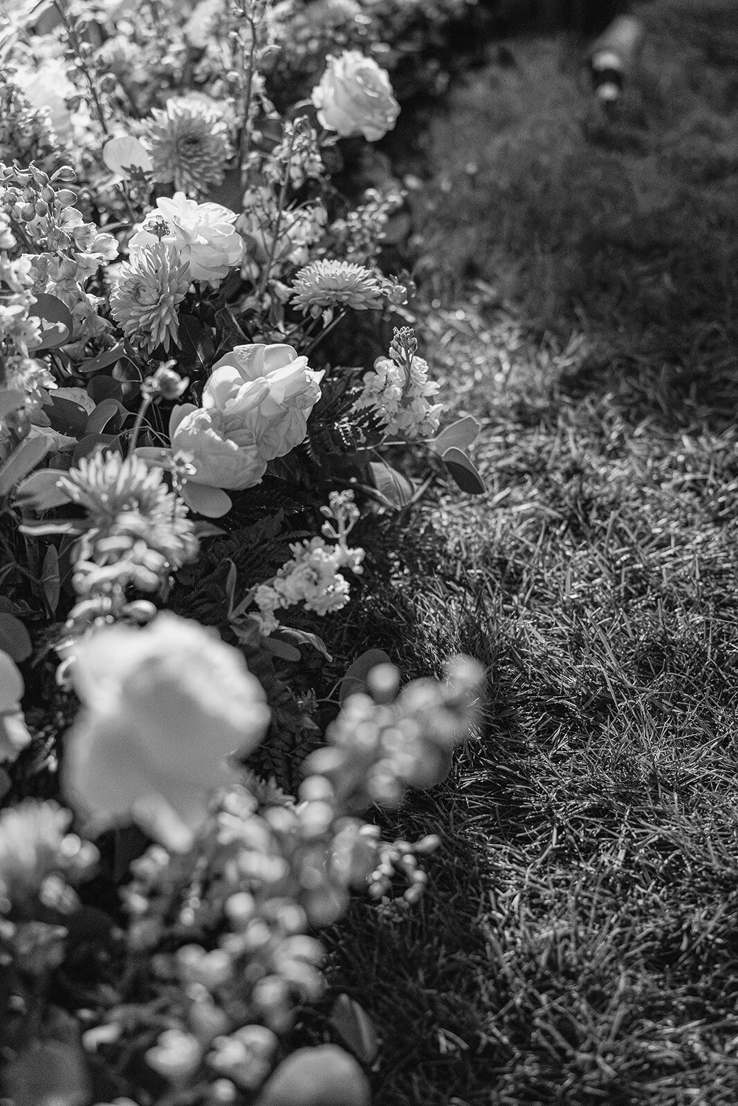 rachelpearlmanphotography_carlinivalis-1471