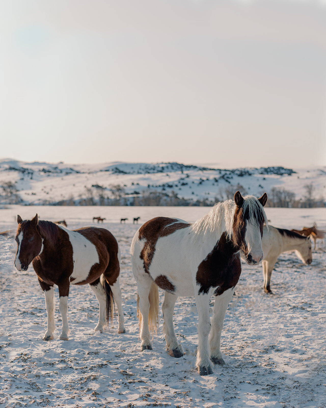 Winter Wedding-Brush Creek Ranch-12_websize