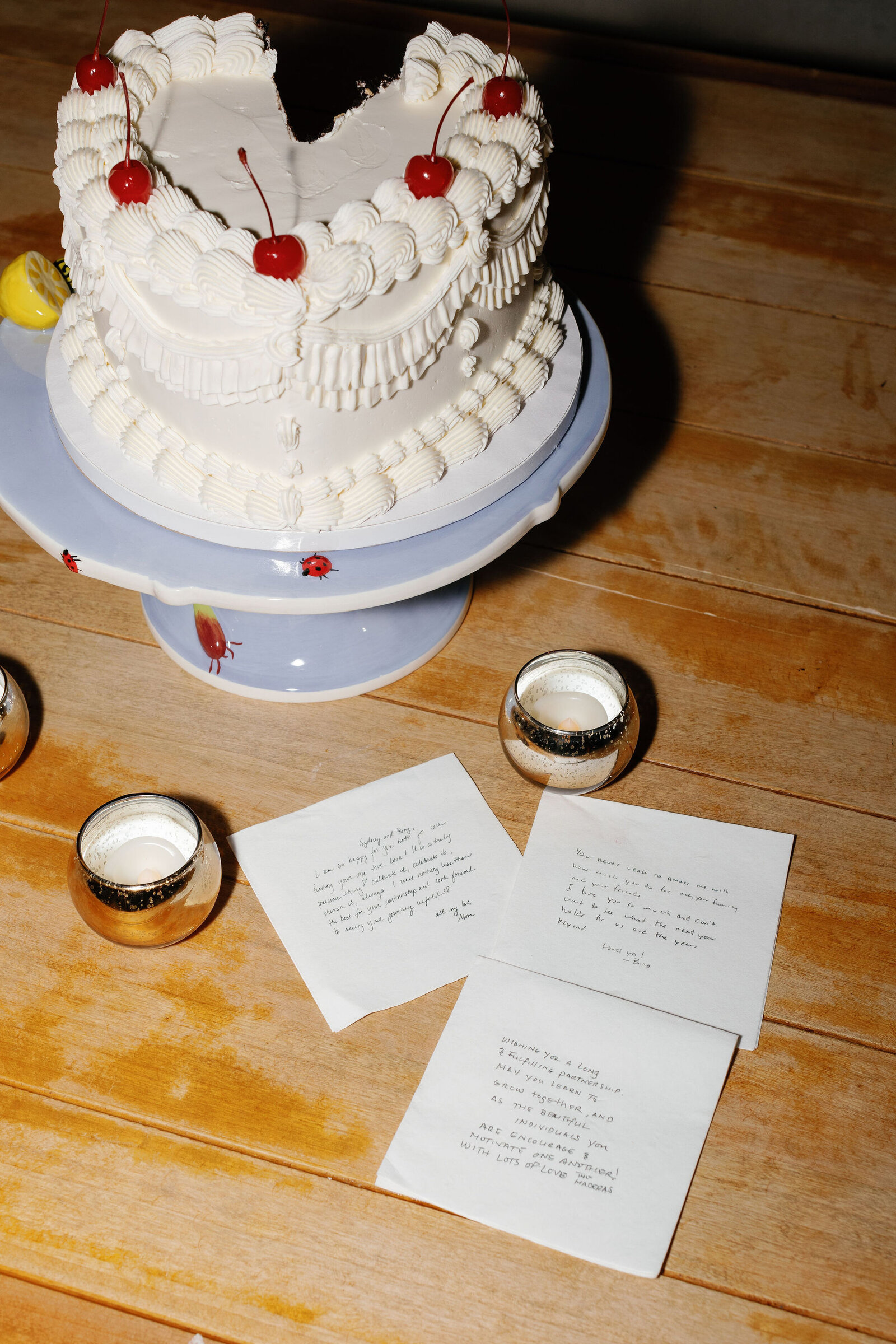 keepsake-hudson-valley-wedding-alex-healy-photo16385