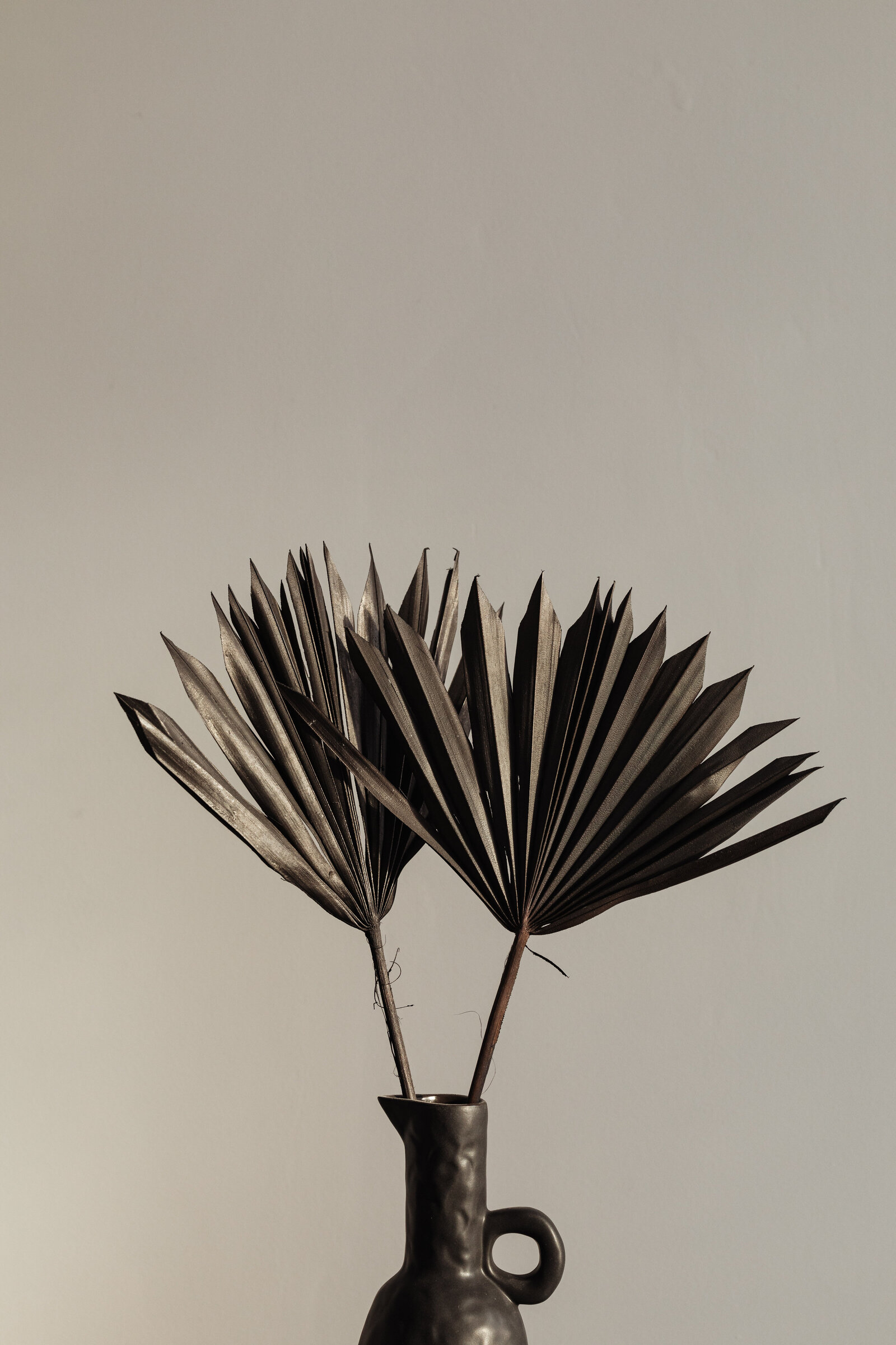 kaboompics_black-dried-palm-leaves-black-ceramic-vase-backgrounds-29585