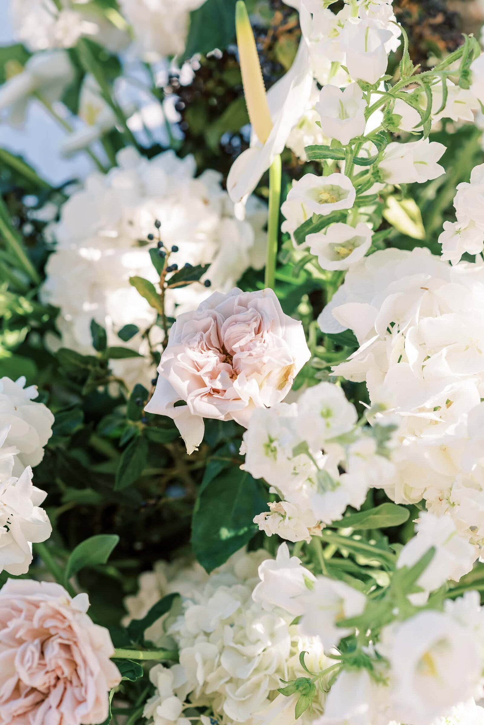 Destination Wedding Photographer Anna Lundgren in Stockholm Wedding in Lake Como at Villa Pizzo_275