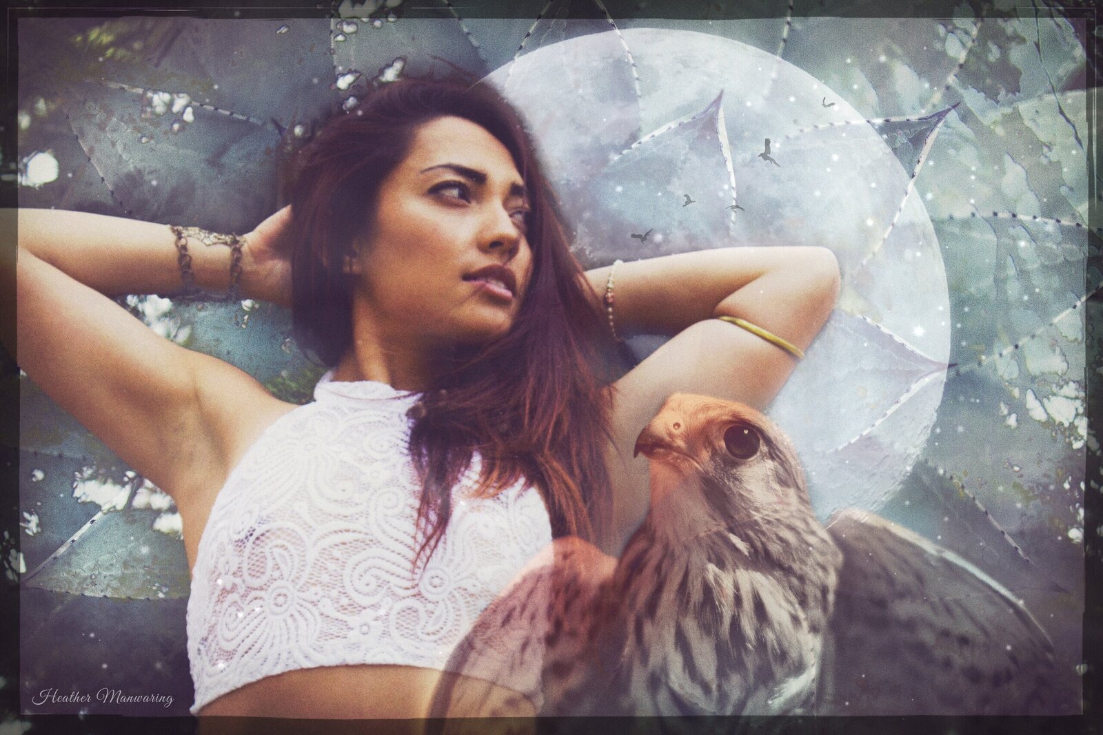 Enlight1
