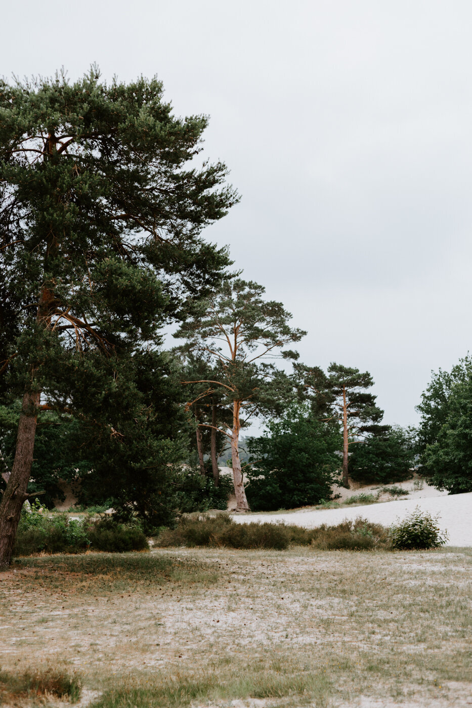 Alblasfotografie_Liefde_Gezin_Familie_LangeDuinen-43