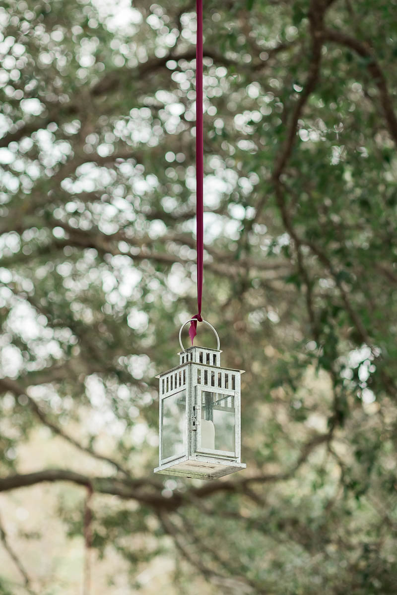 Lanterns are hung from oak trees, Boals Farm, Charleston, South Carolina