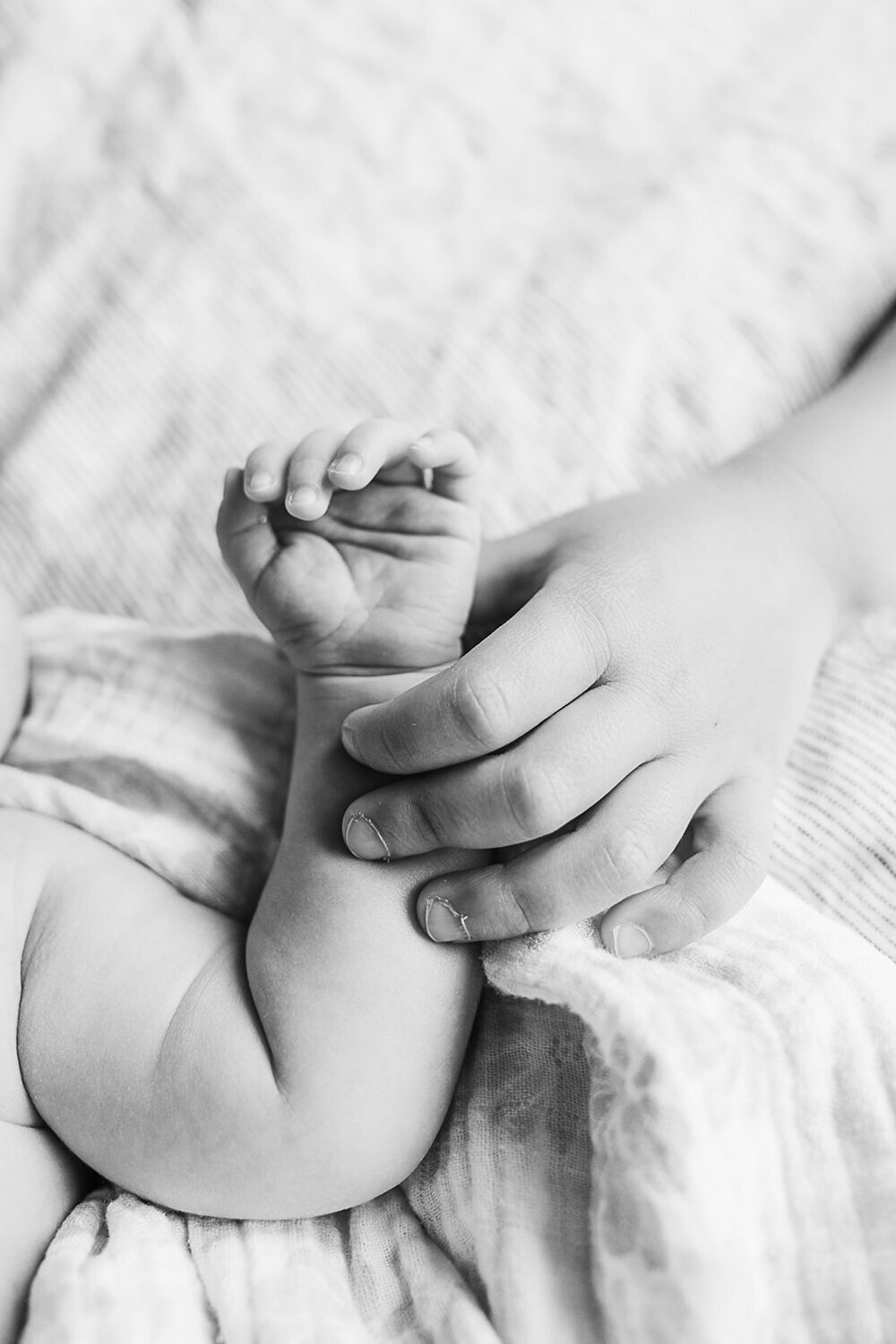 black and white image of big sibling hand holding newborn