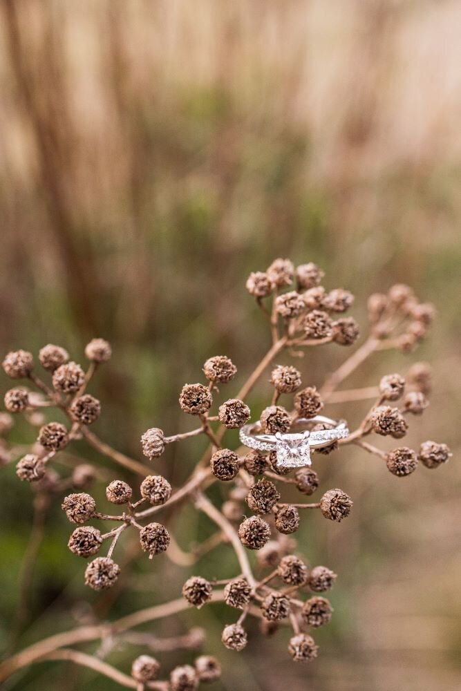 north-idaho-engagement (7)