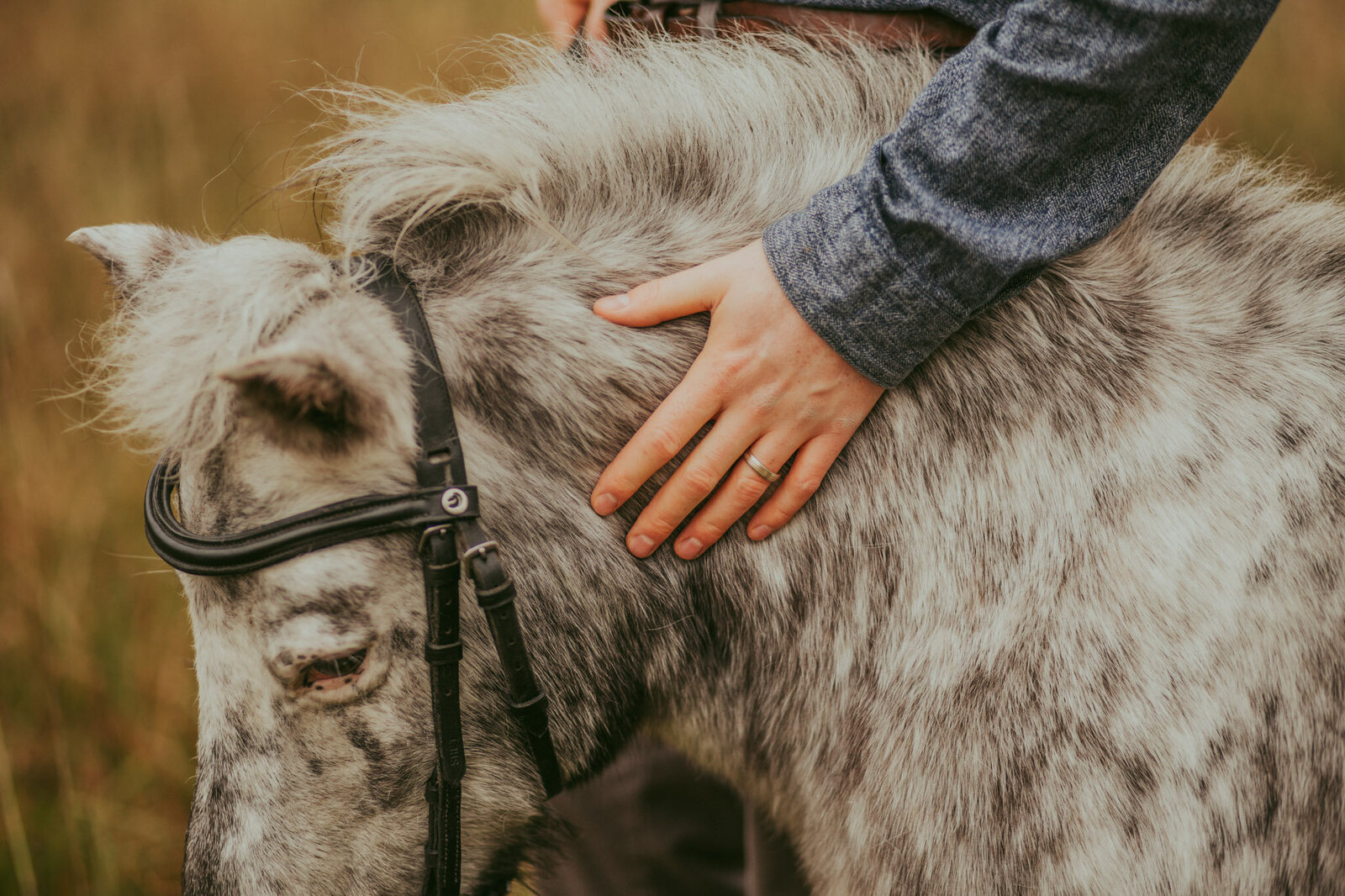 Horse-themed-engagement-photoshoot