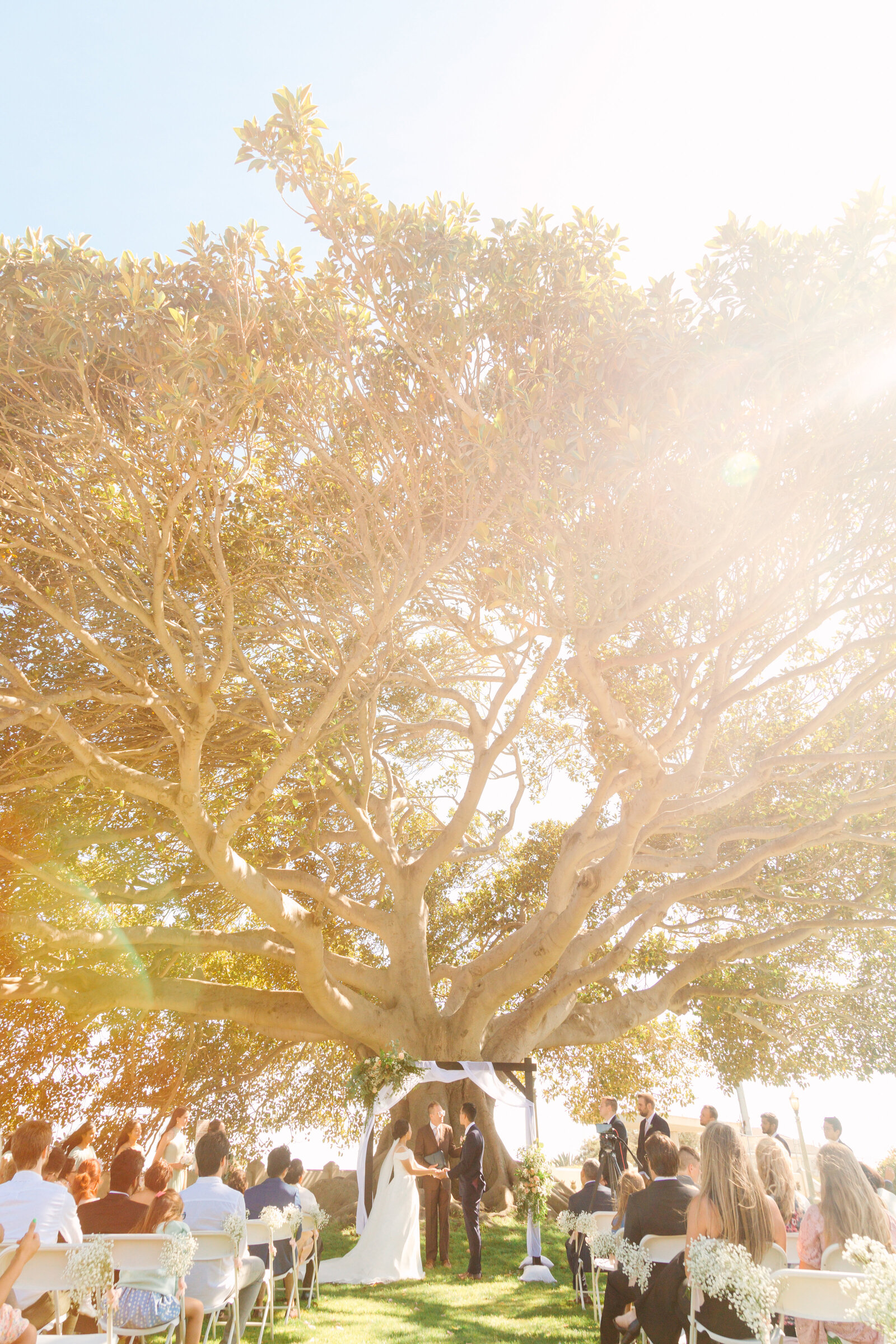 A wedding ceremony underneath a large tree in Los Angeles, Ca.