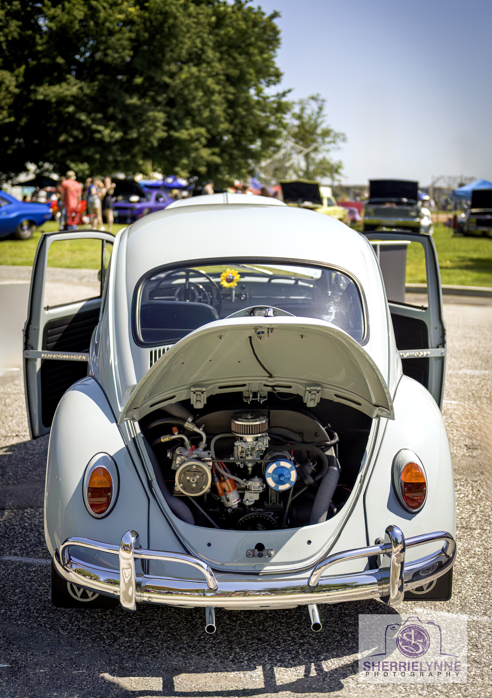 DSC_8079-Car Show copy