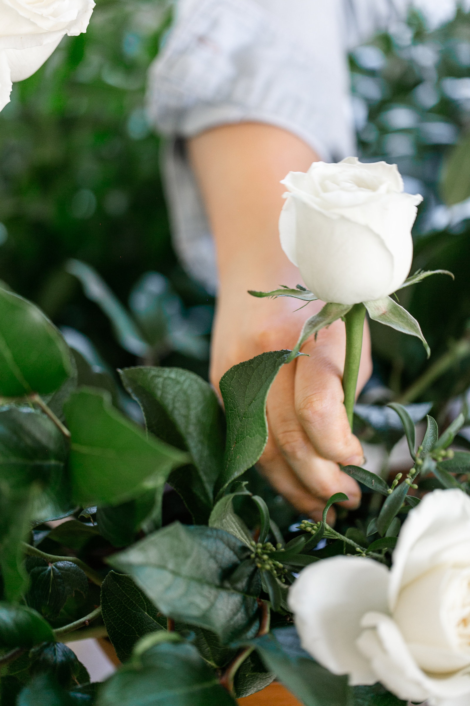 Karlie Colleen Photography - Phoenix Arizona Branding Photography - Array Design Florals-156