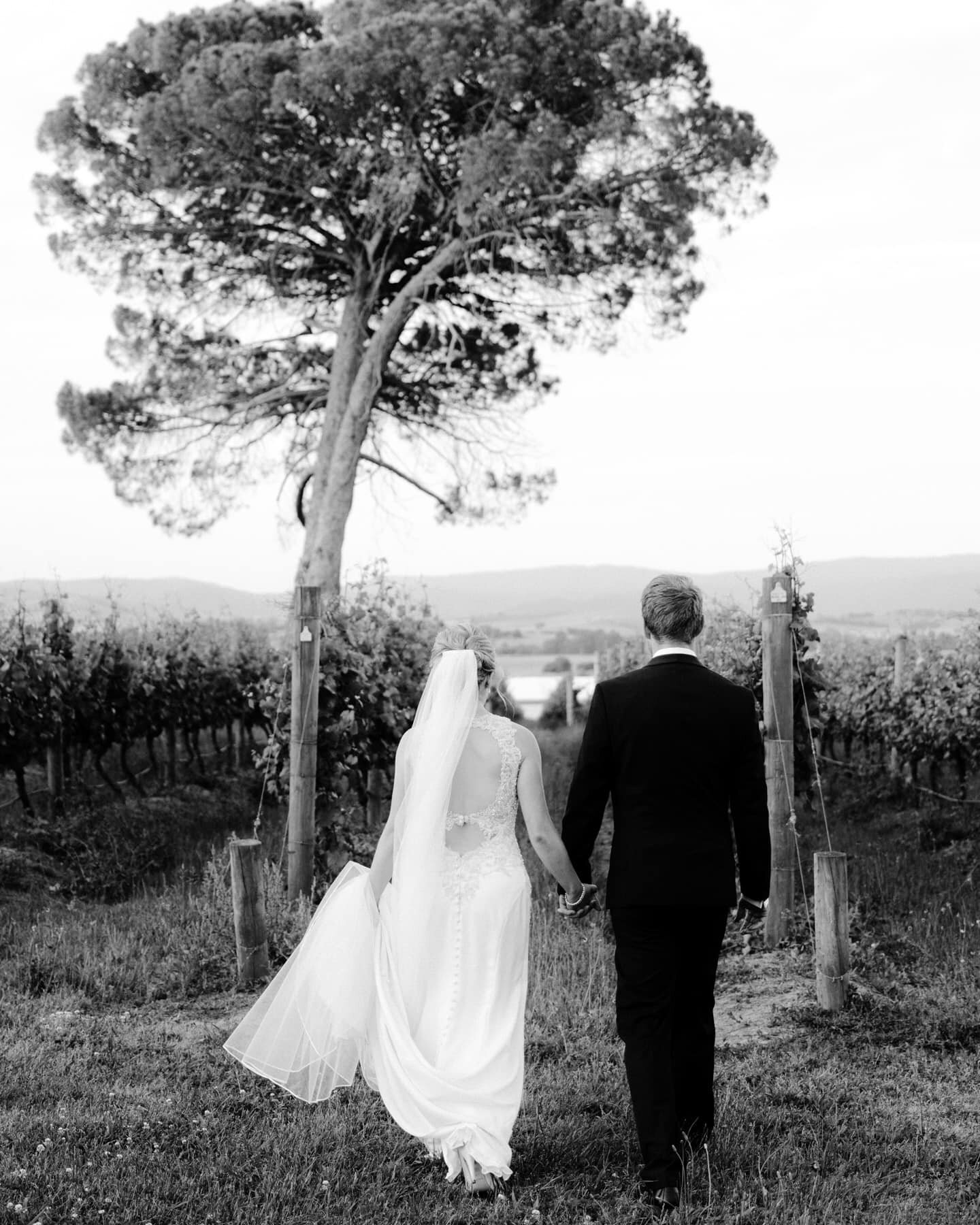 Stones-of-the-Yarra-Valley-wedding-Serenity-Photography-133