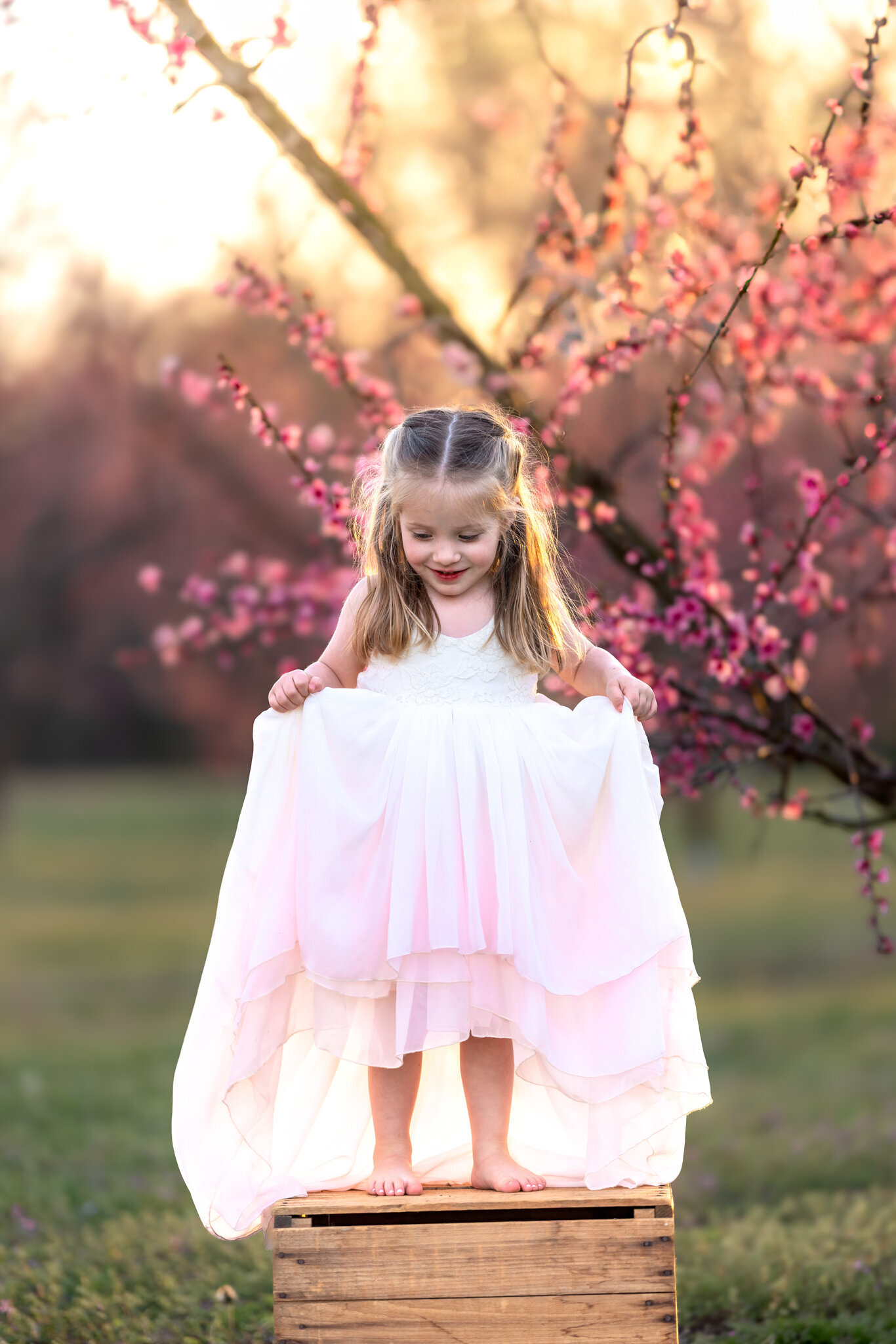 Raleigh-family-photographer-2025-629