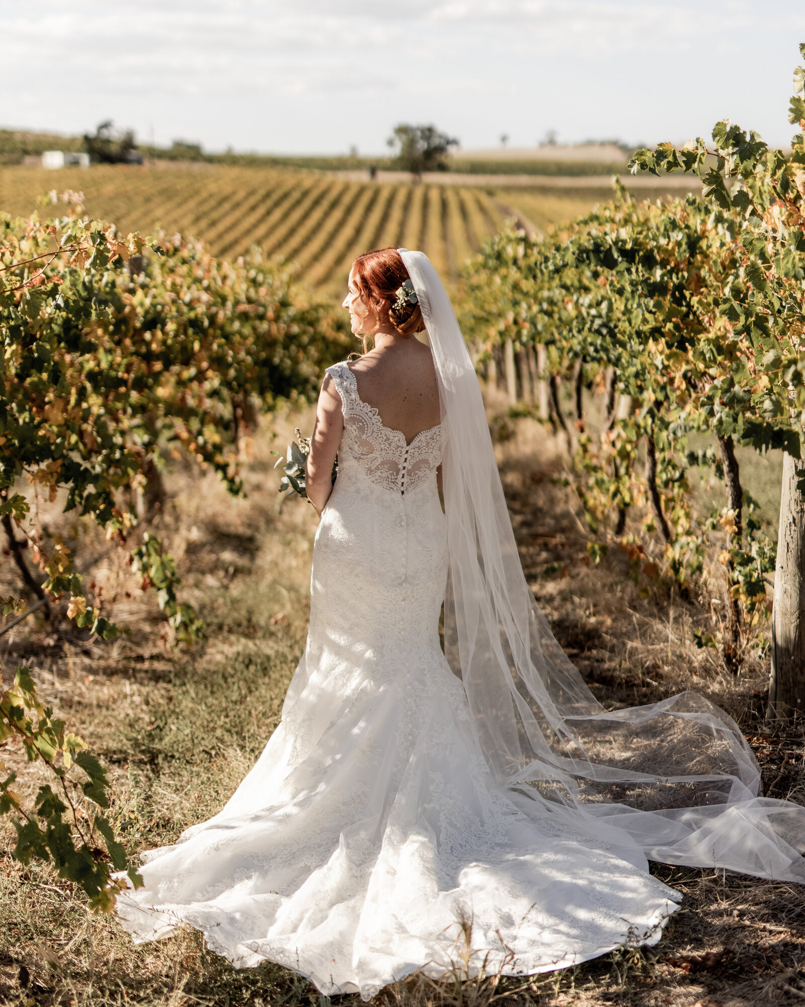 Hannah-Josh-Rexvil-Photography-Adelaide-Wedding-Photographer-474