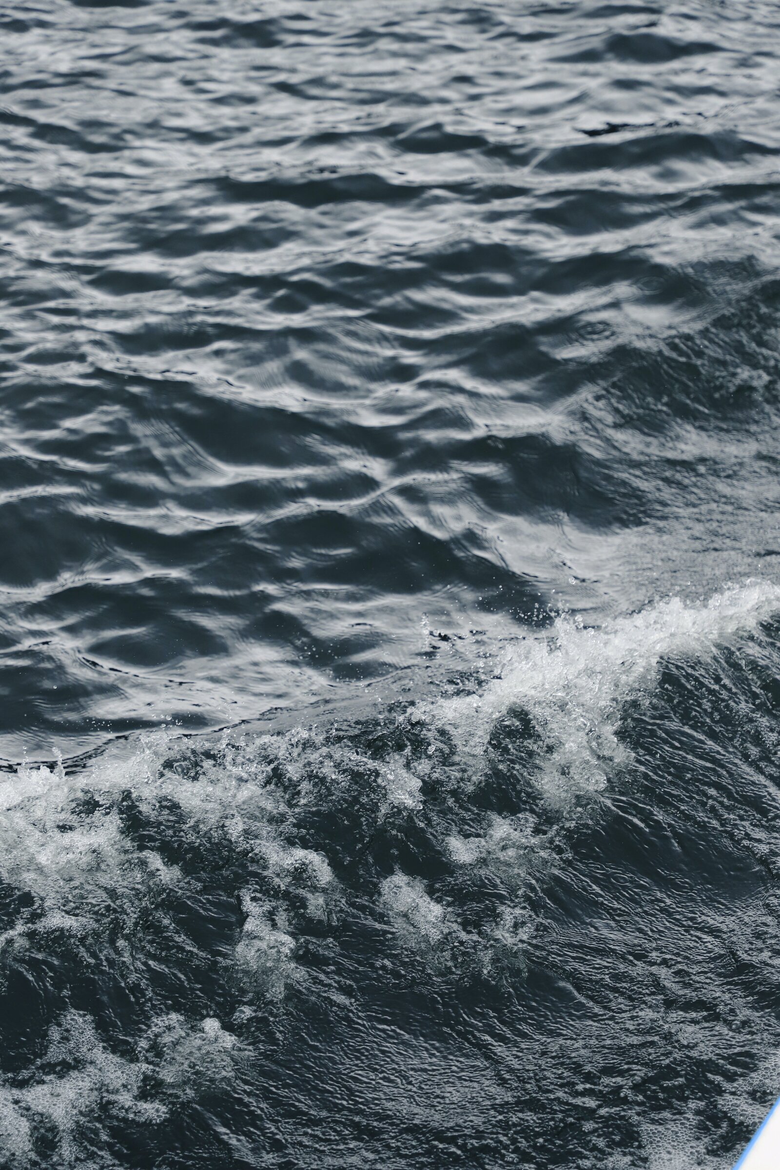 frank-chou-QQ9aVFVnb_Y-unsplash