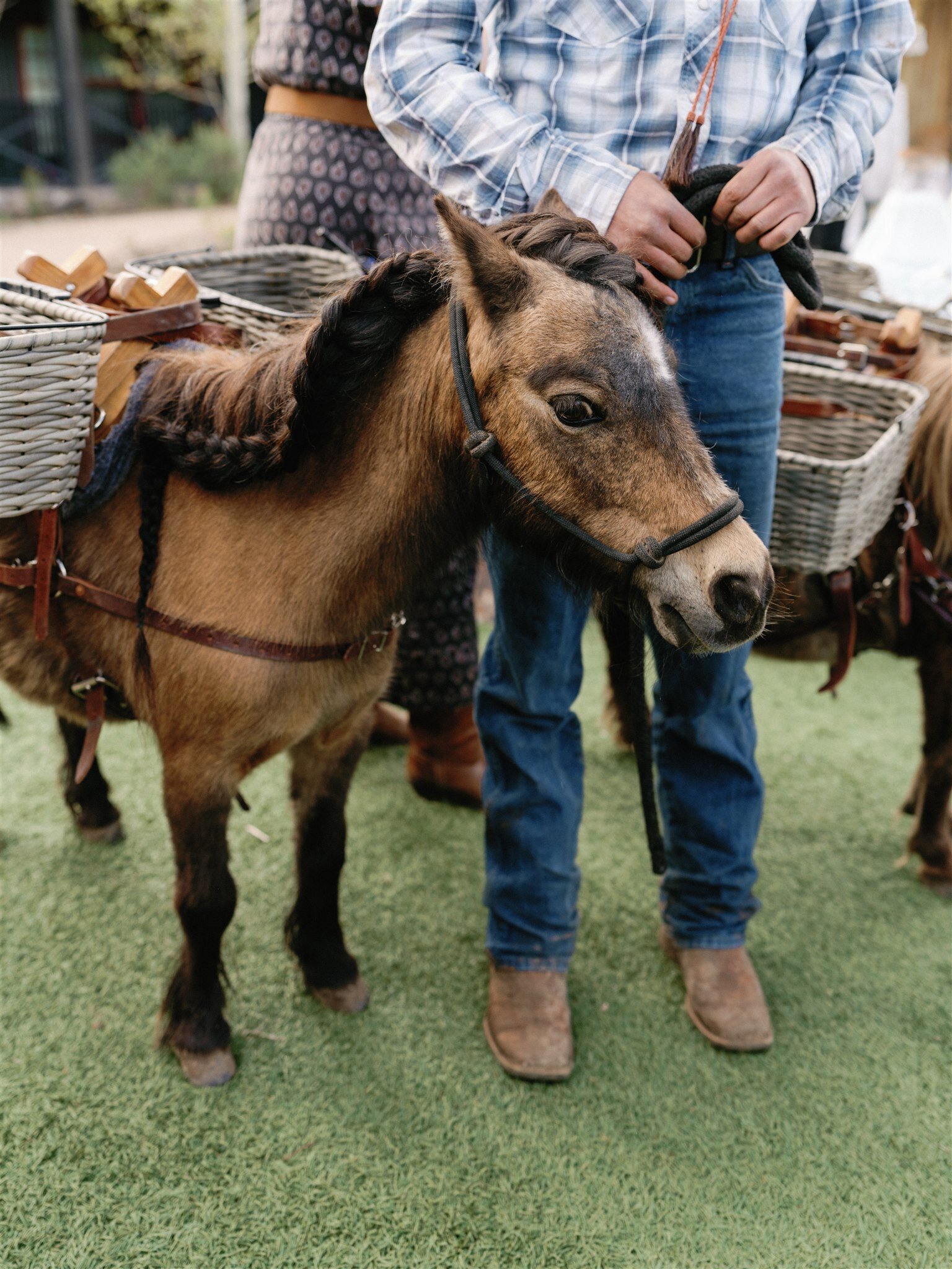 Amanda-Young-Devils-Thumb-Colorado-Wedding-1677_websize