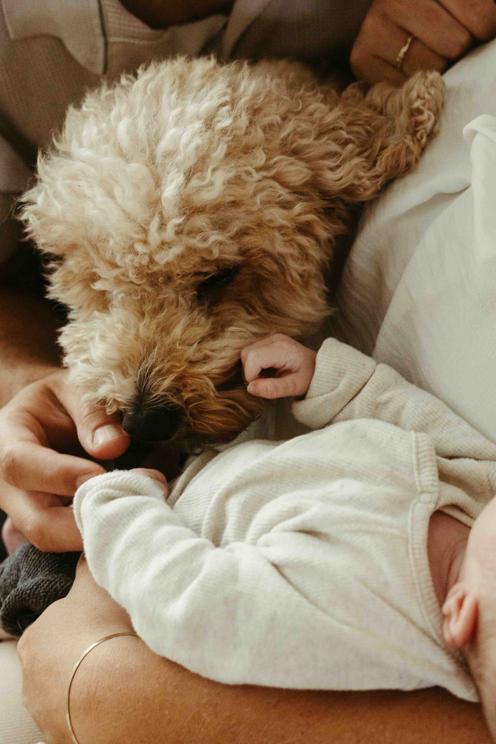 Get-framed-photography-newborn-2