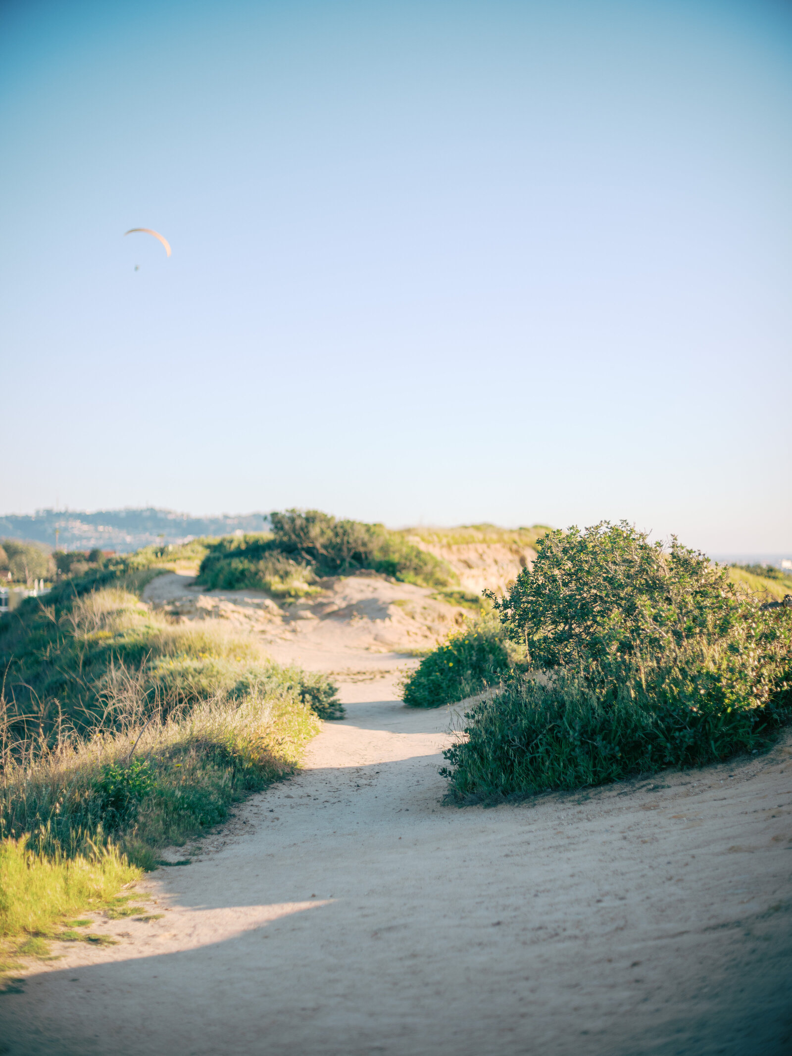 TorreyPine_Engagement_April012024_88