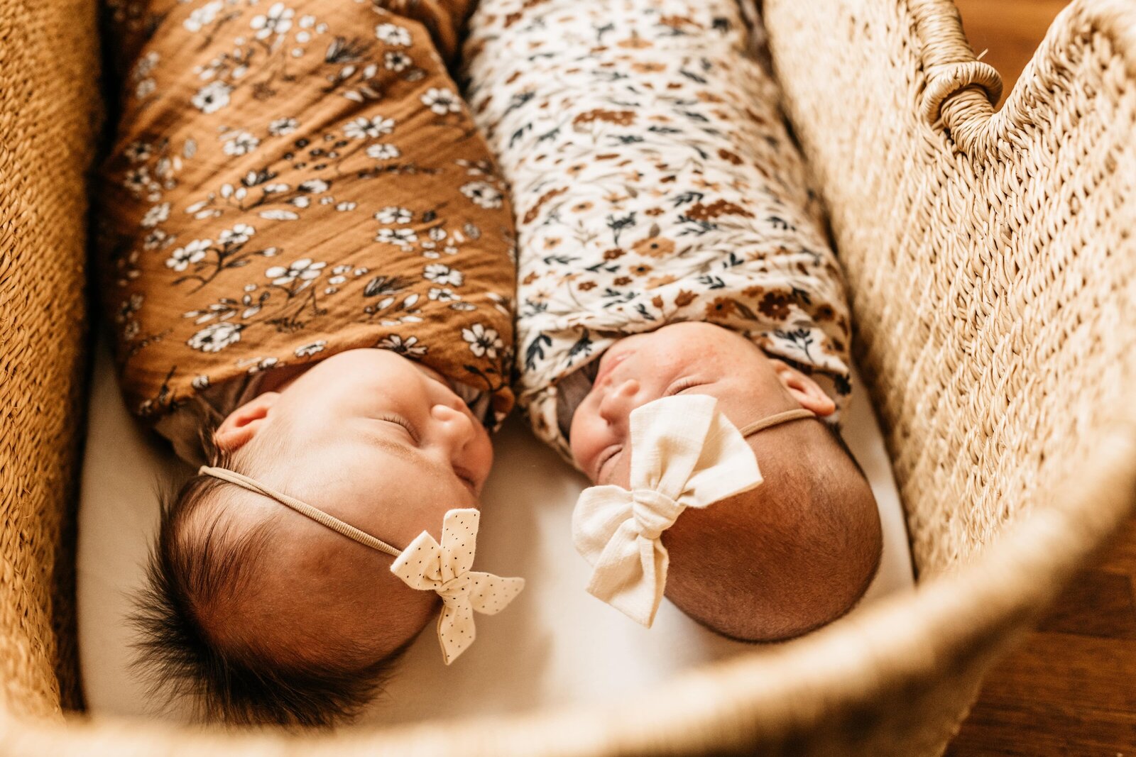 Little Bug Photography Newborn Twin Cincinnati
