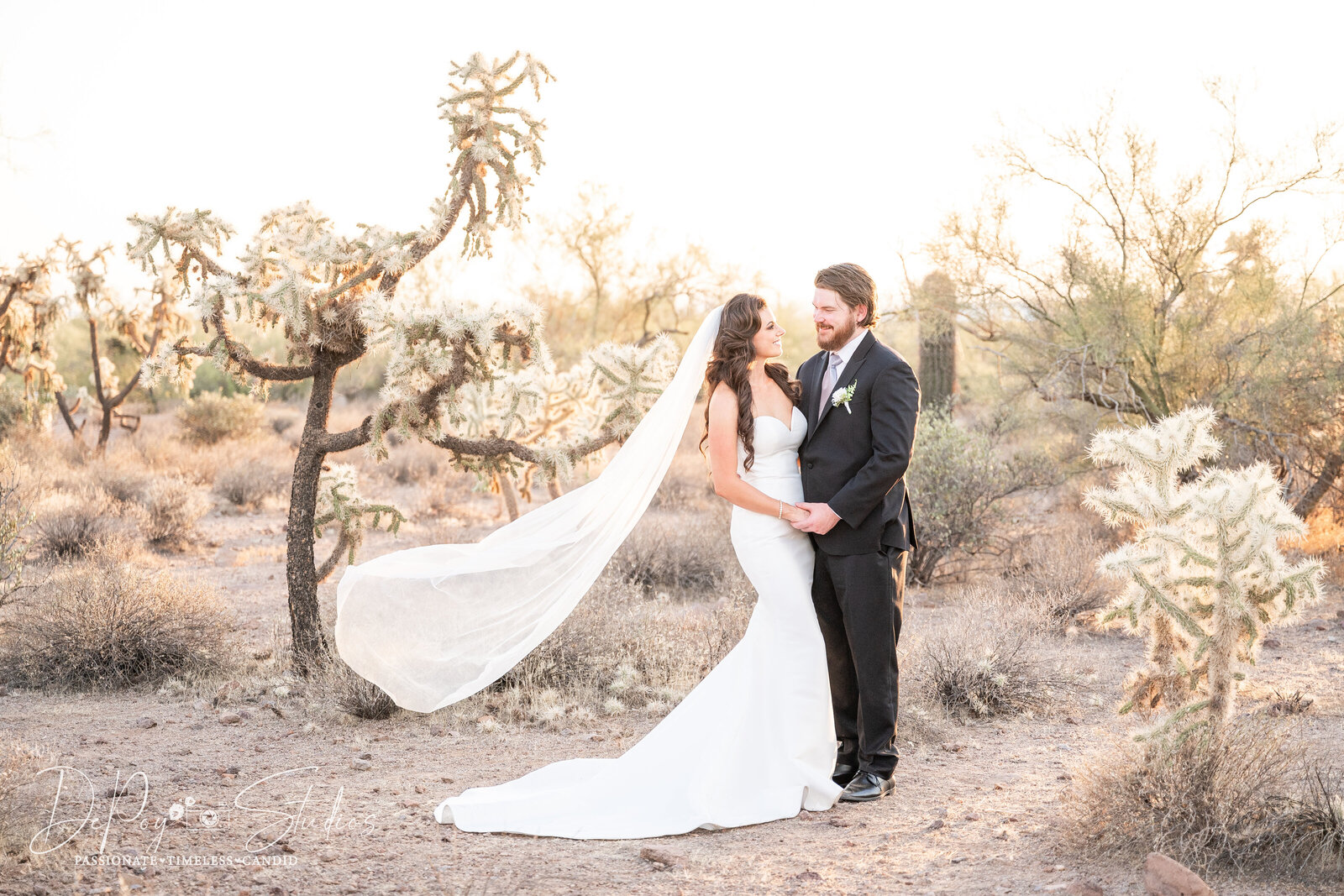The Views at Superstition Wedding, DePoy Studios-27
