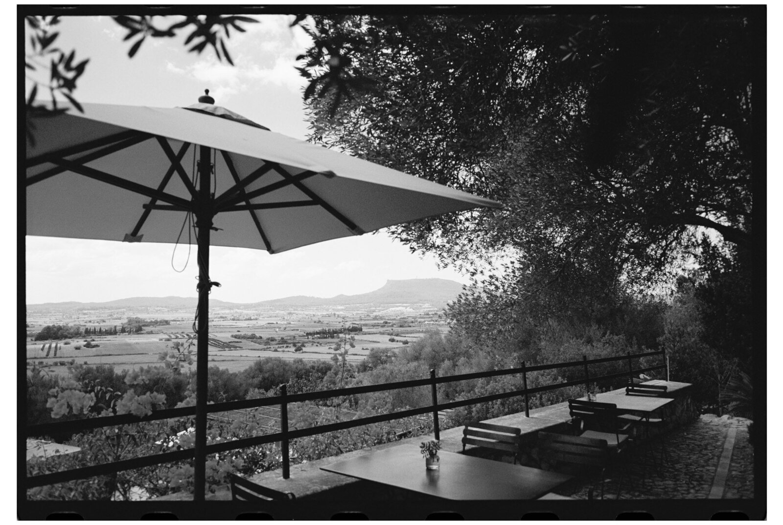 Kathi-David-Wedding-Day-Film-1
