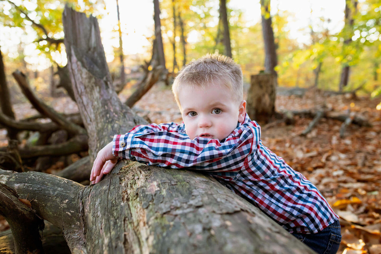 Fairfax-Virginia-Family-Photography-12