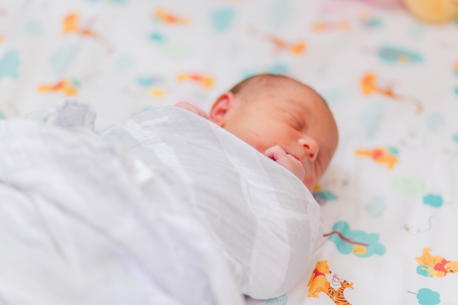 20190704_SeltzerNewborn-00-WEBSITE-018