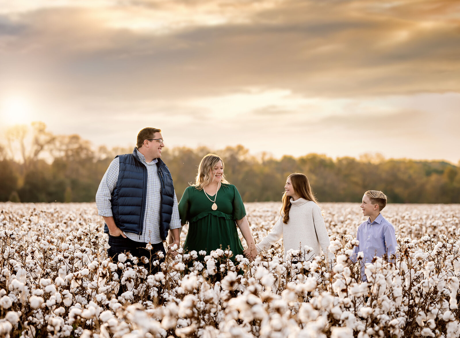 cotton fields in cartersville ga