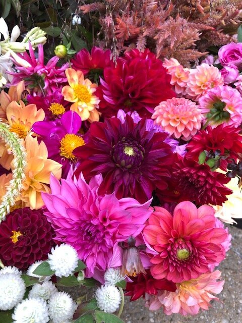 QBR pink, purple and burgundy dahlias 