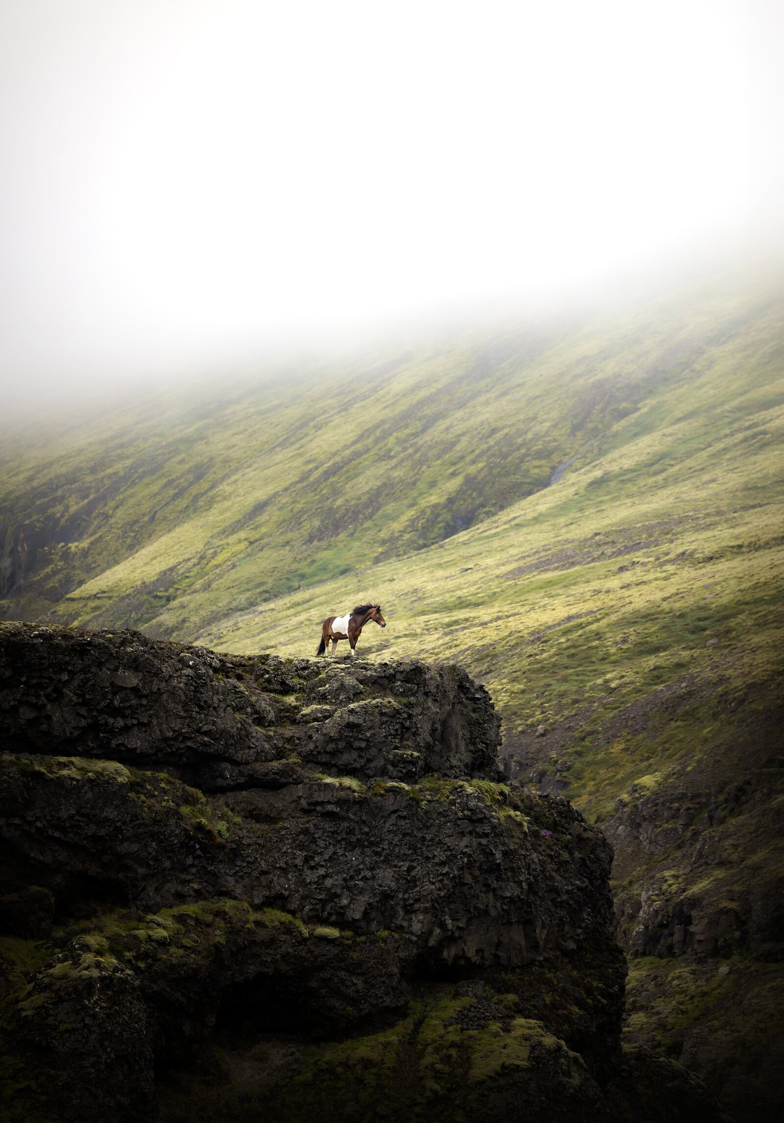 YS246135-Enhanced-NR-Edit