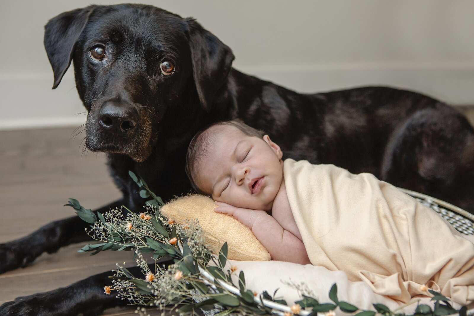 Atlanta Newborn Photographers