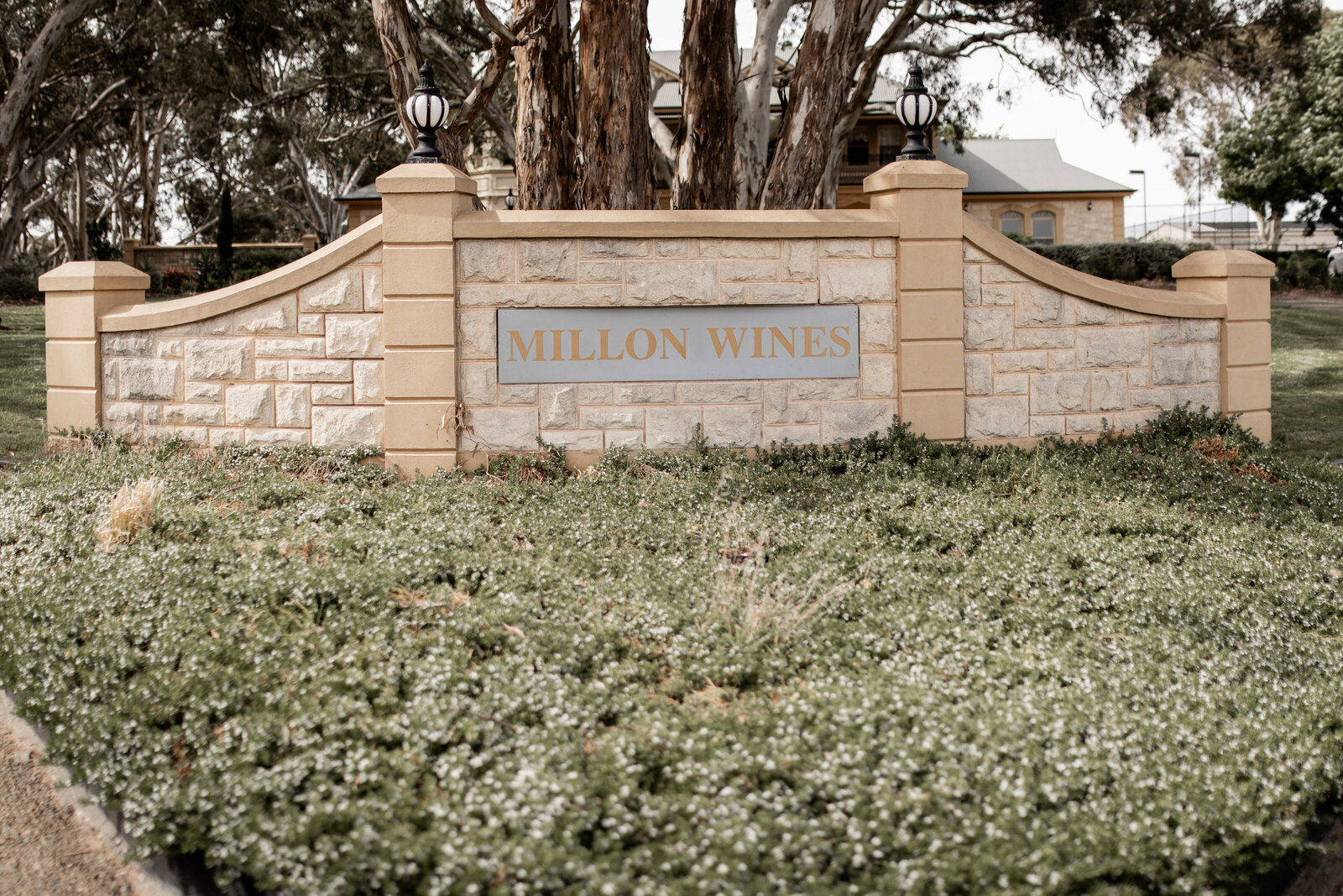 241102-Vanessa-Jacob-Rexvil-Photography-Adelaide-Wedding-Photographer-1