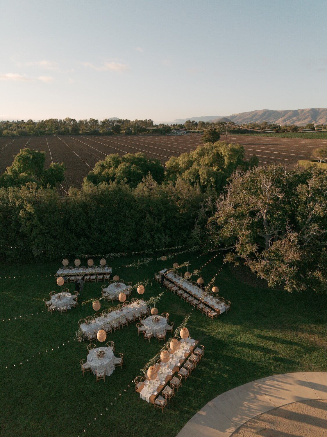 vineyard-wedding-california