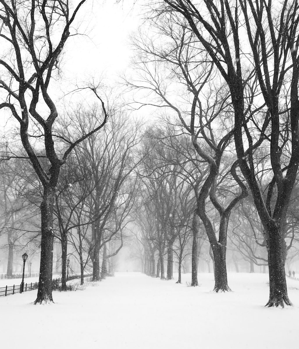 nyc-snow-photos-20