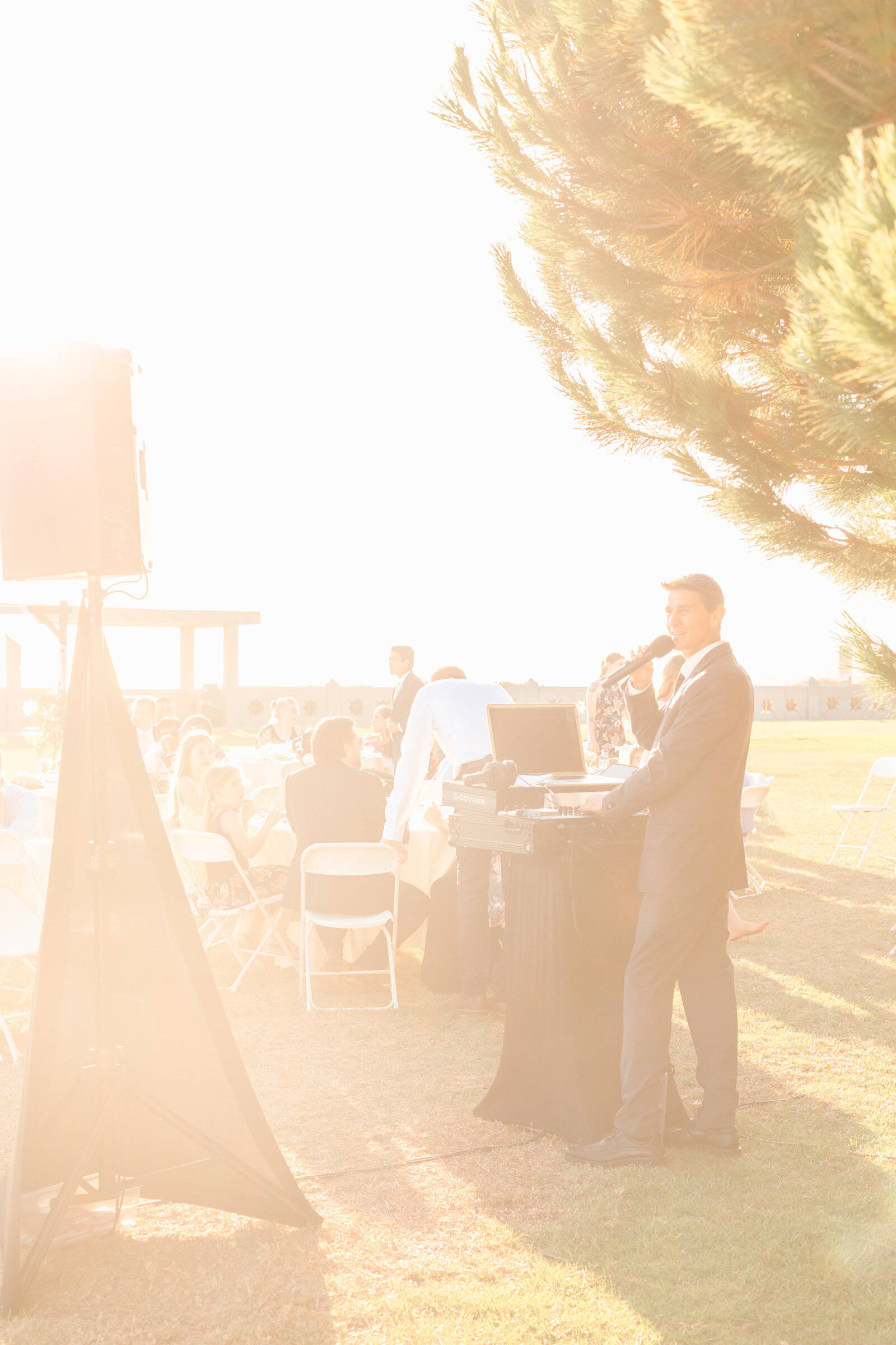 Reception in Los Angeles underneath palm trees.