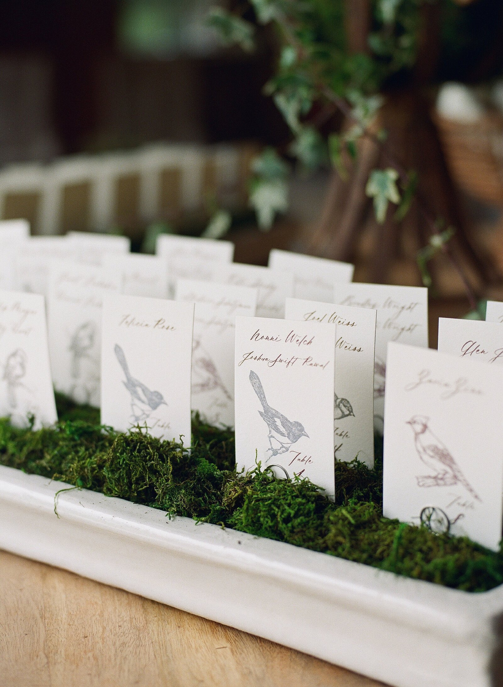 2024.05.18 Anni and Tom_Reception-13