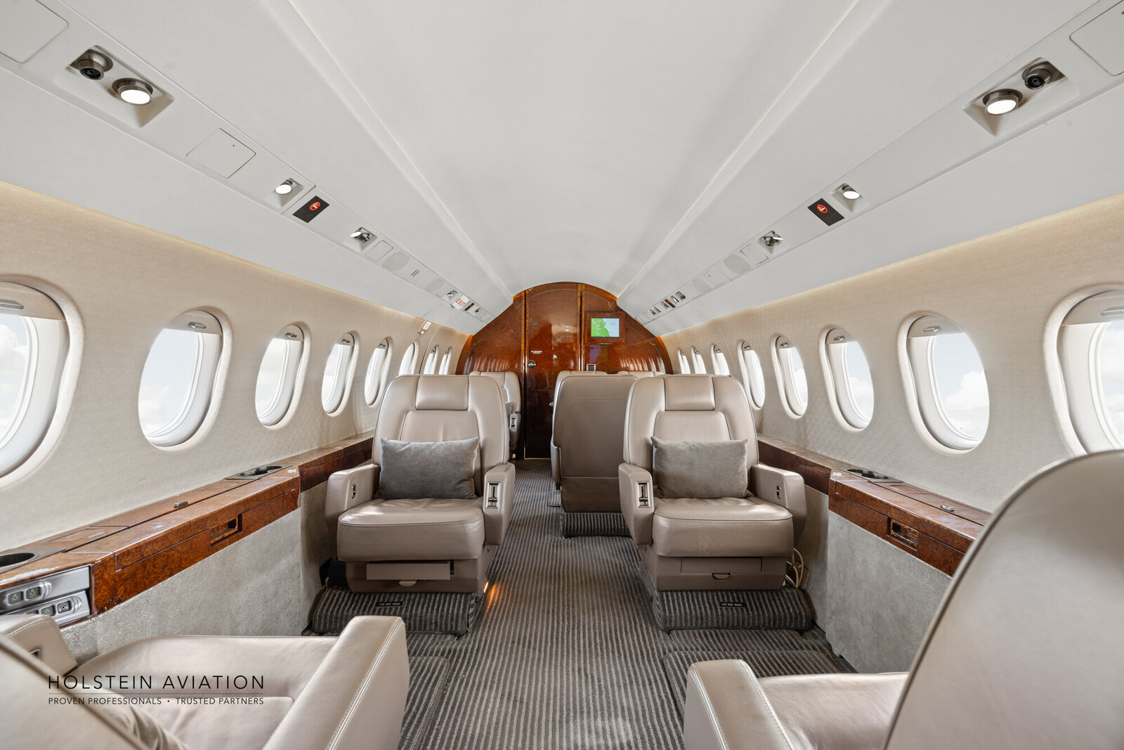 Falcon 2000 Watermark-3