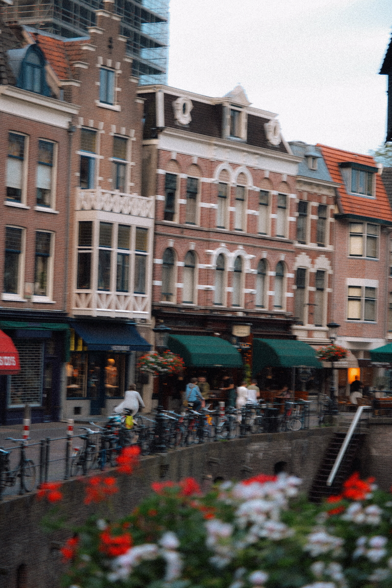 DSC_0329 2