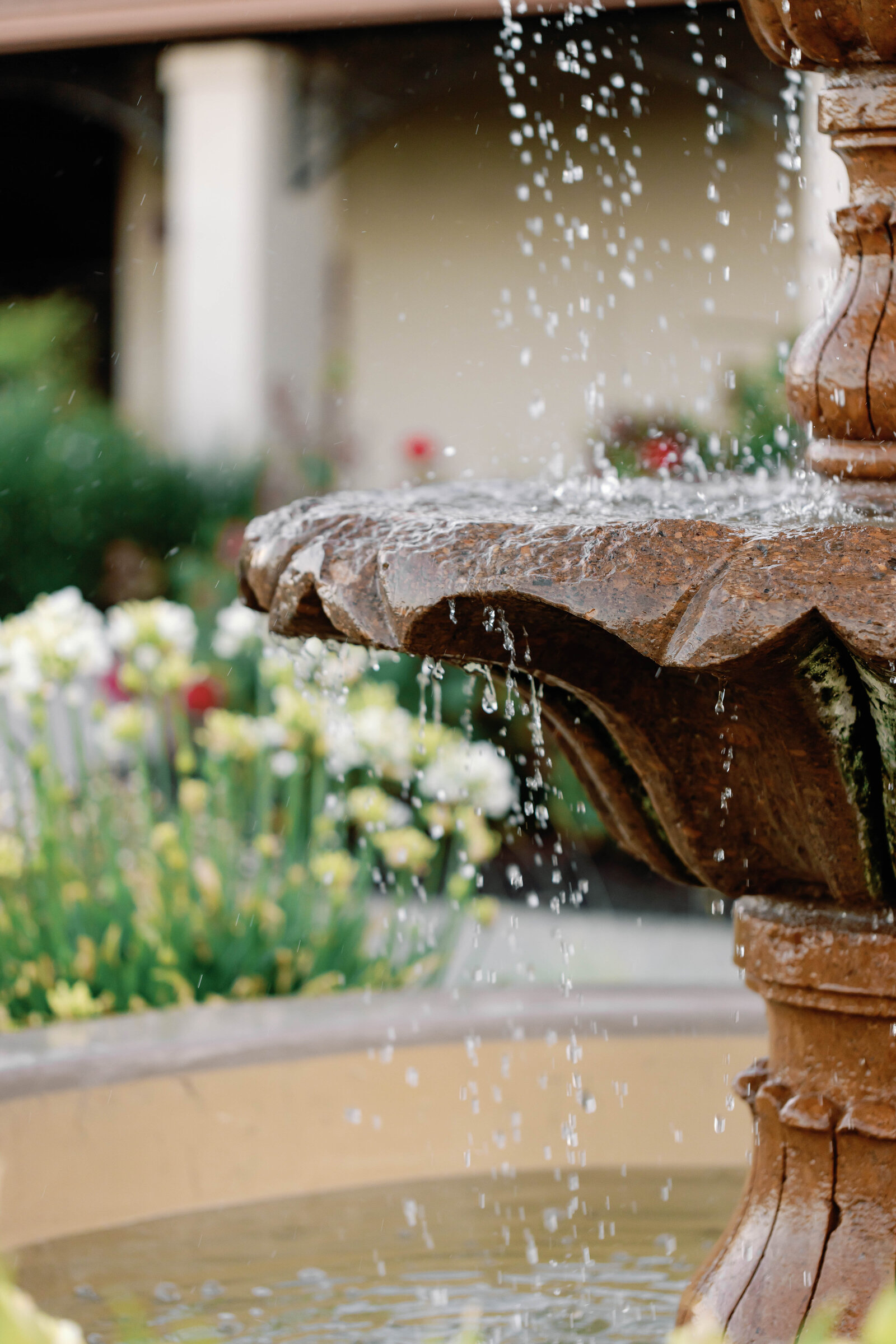 Casa-Real-Wedding-Bay-Area-Photographer-Sarah-Block-Photography-1052