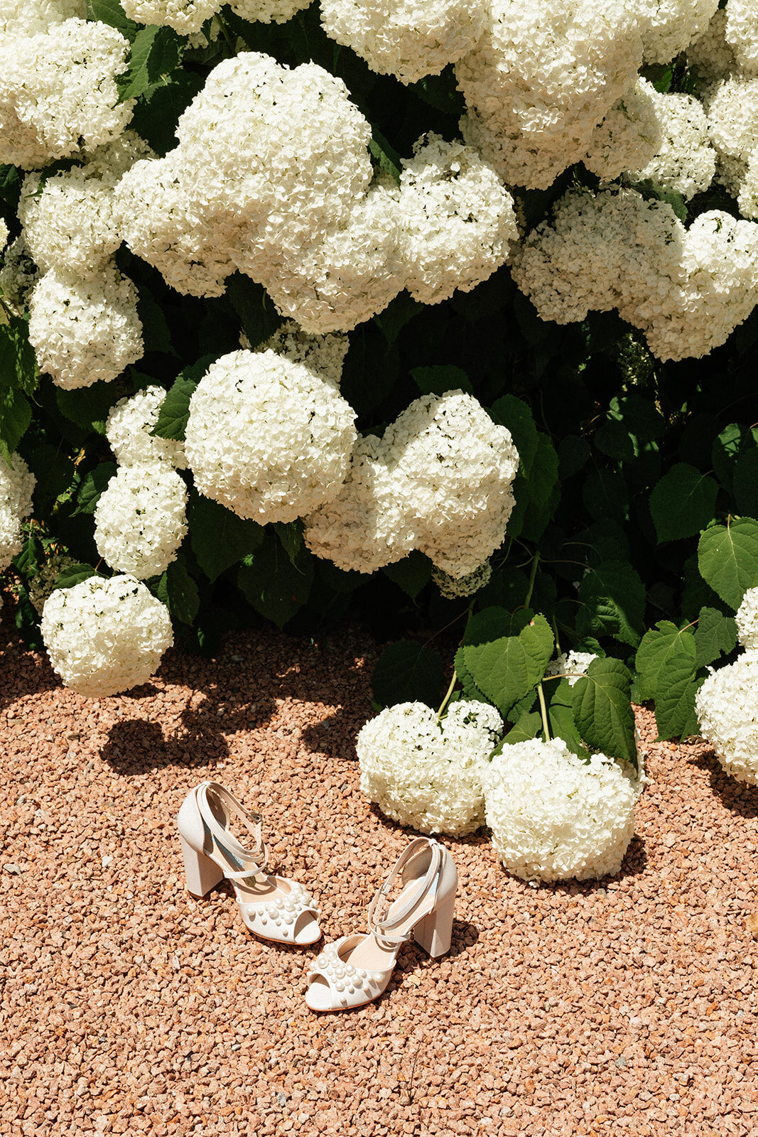mary-fernandez-switzerland-wedding014