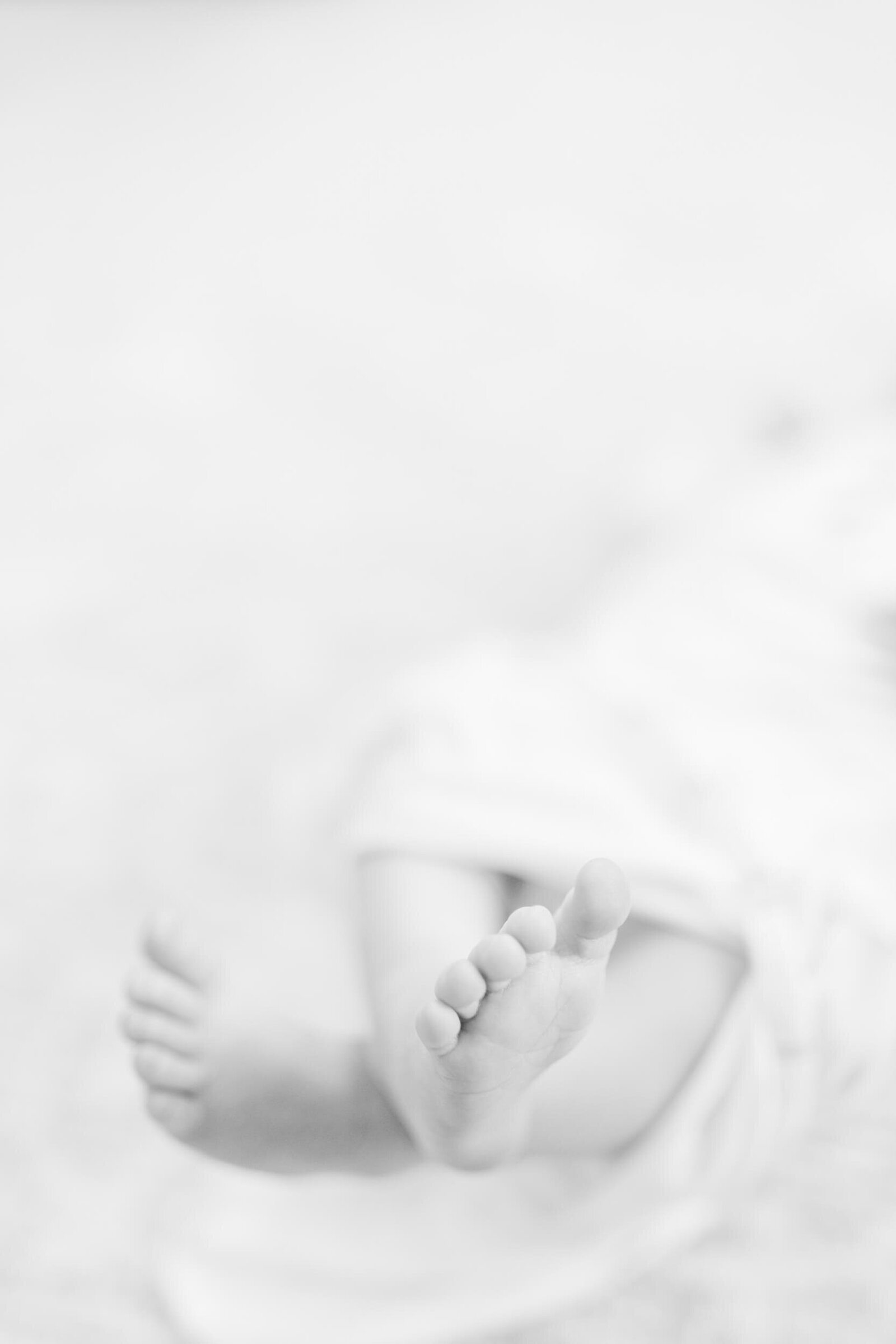 Black and white detail image of a baby's feet