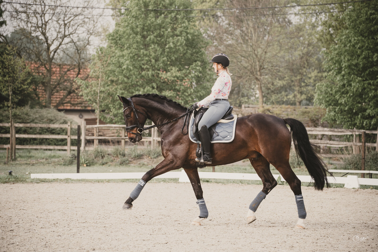 Paardenfotograaf Beringen, Limburg