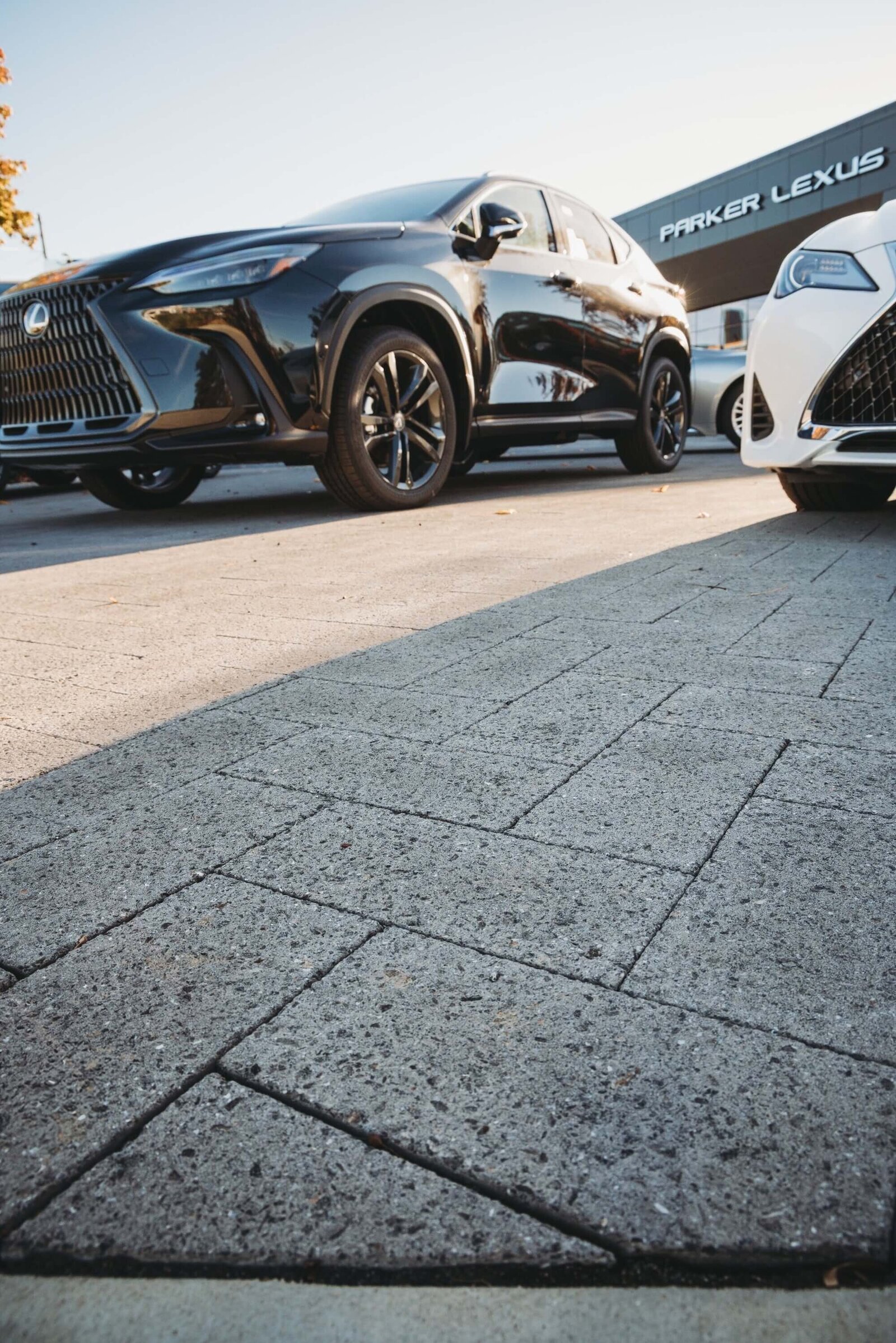 lexus-dealership-paver-detail-commercial-hardscape