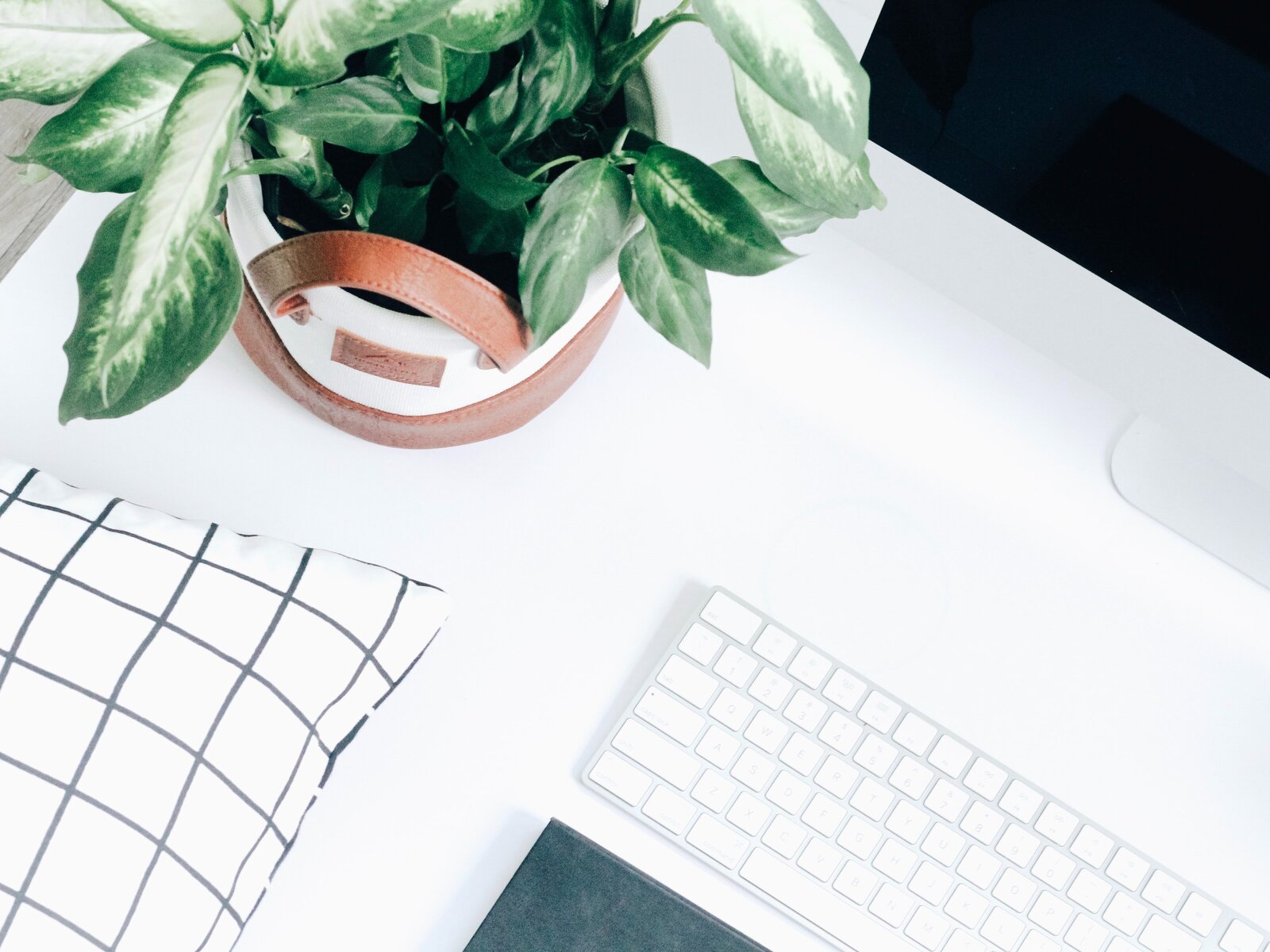 plant, keyboard, and mac computer on a white desk