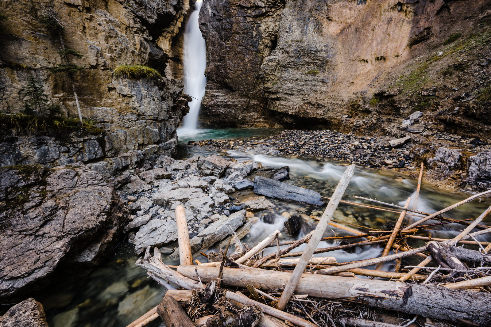Banff_Jasper_National_Park_Sasha_Reiko_Photography-6